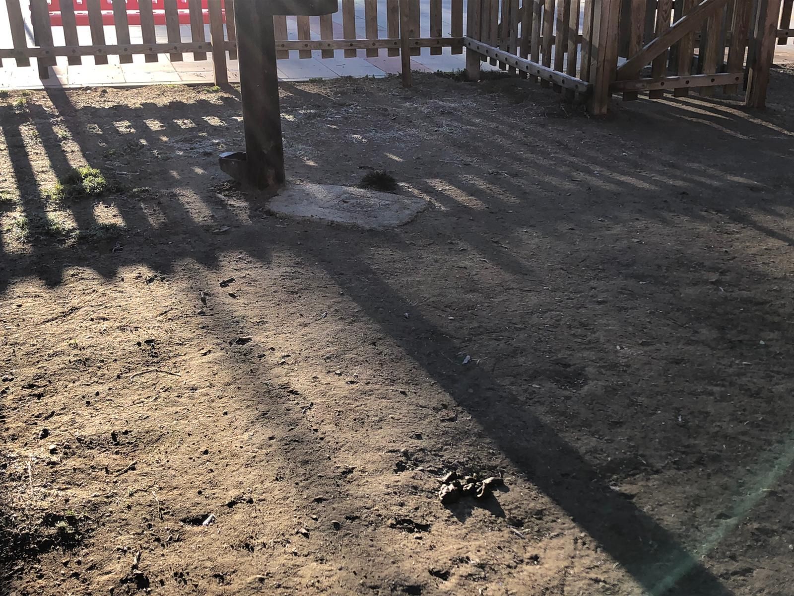 estado-del-pipican-7