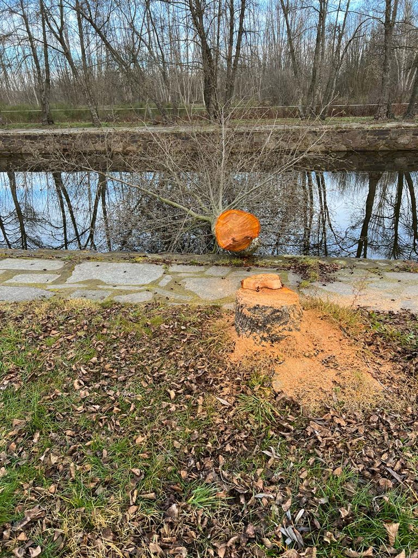 whatsapp-image-2024-01-04-at-13-16-44