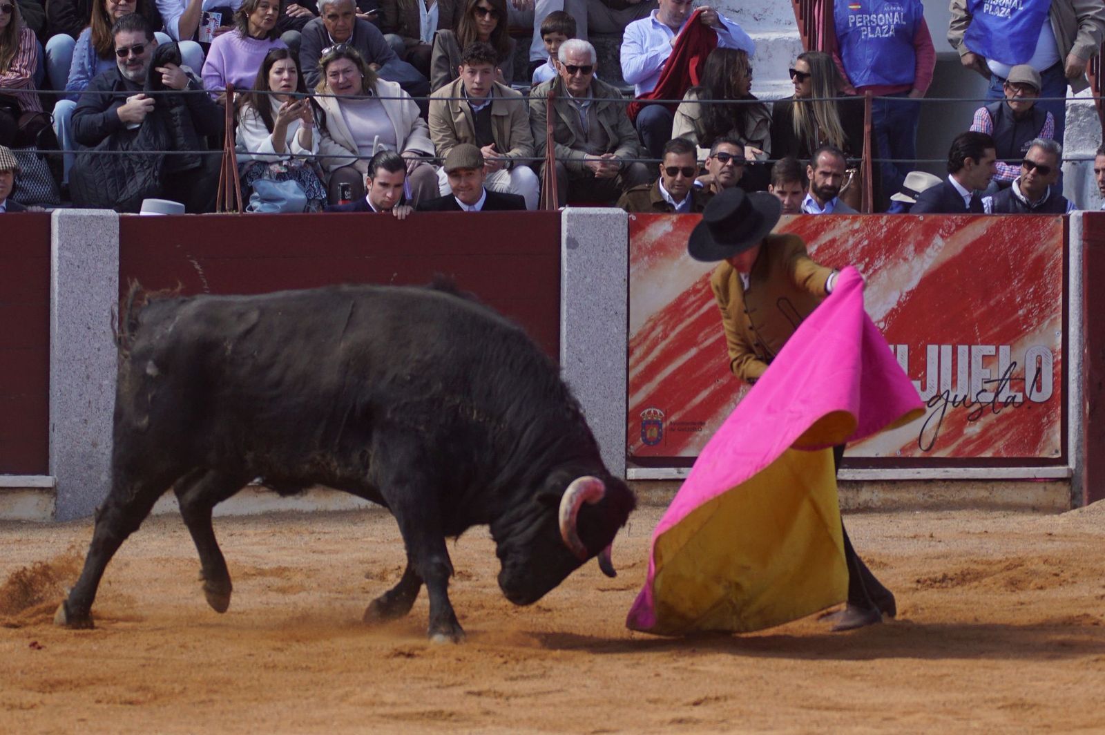 Festival taurino solidario por la esclerosis múltiple en Guijuelo