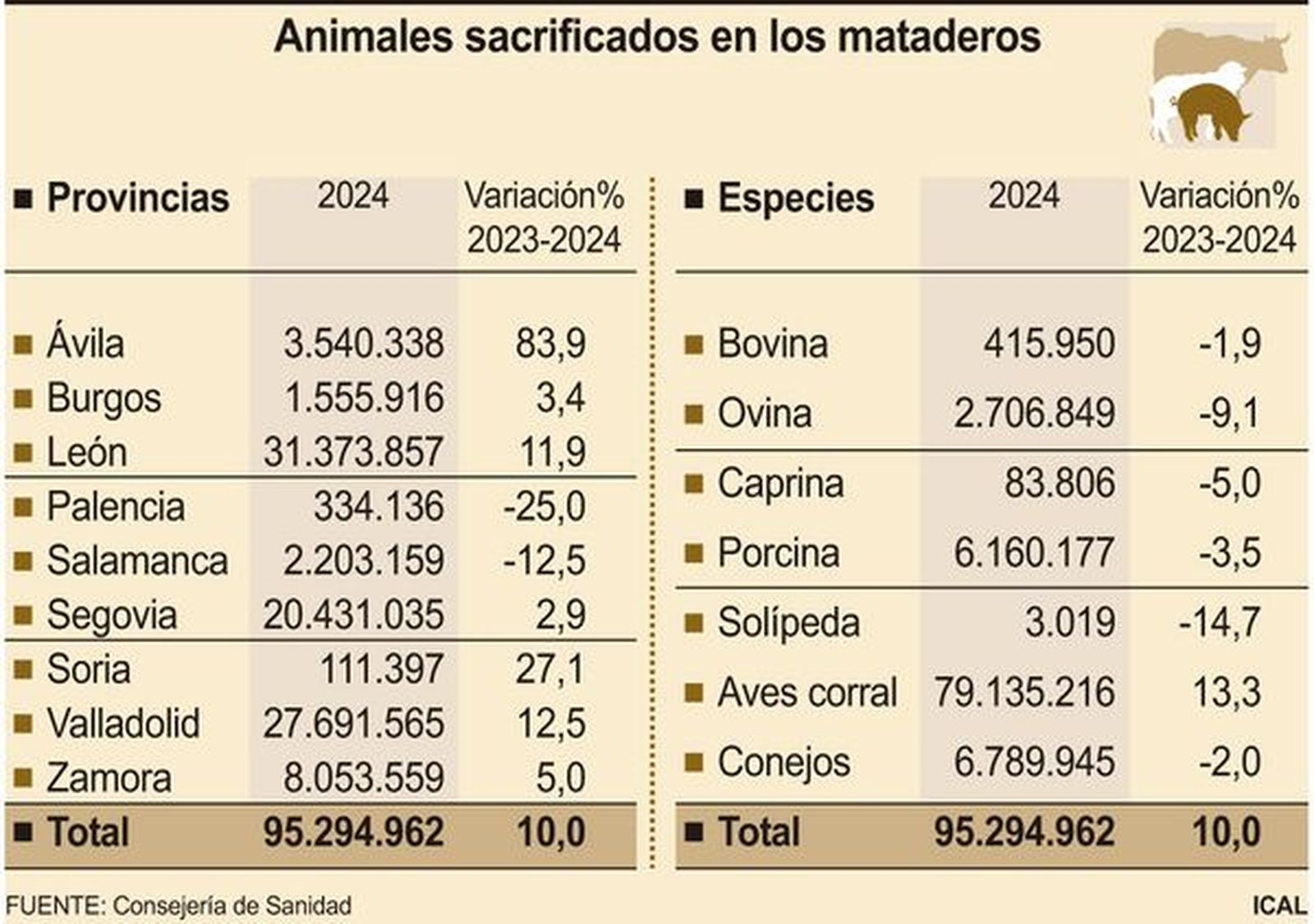 Animales sacrificados en mataderos. Foto ICAL