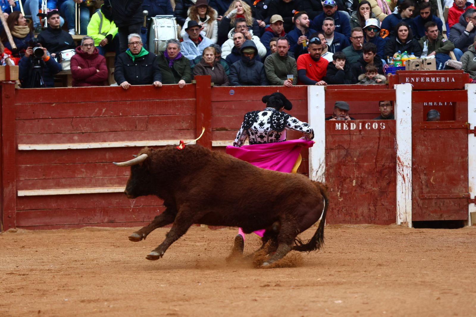 Novillada con picadores de lunes en el Carnaval del Toro de Ciudad Rodrigo 2026