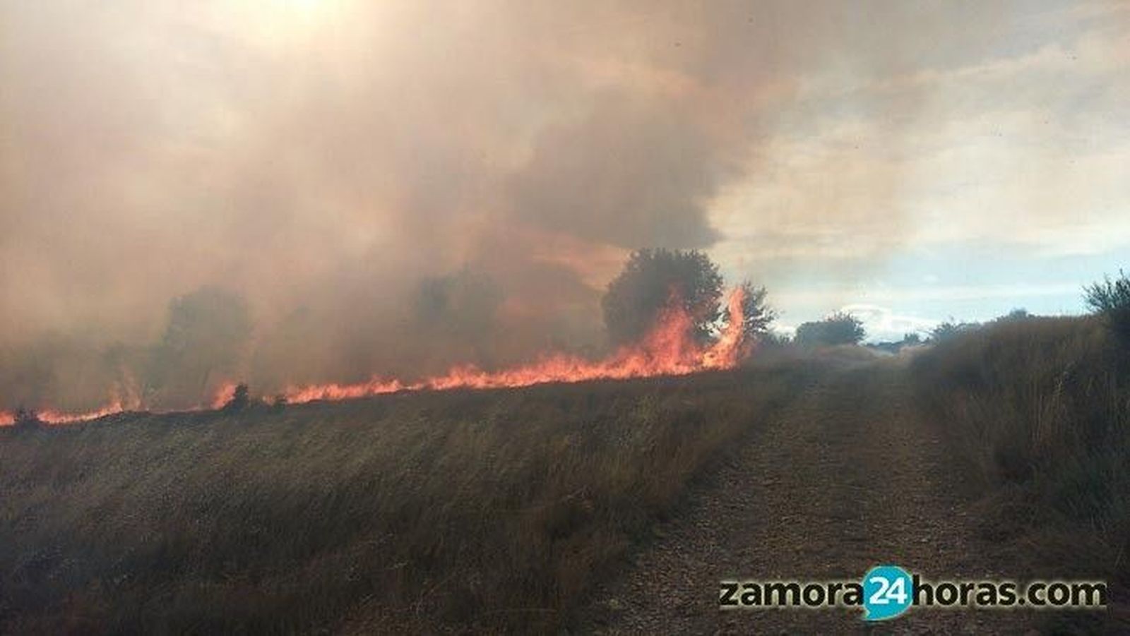 La Junta alerta del incremento de riesgo de inicio y propagación de incendios este fin de semana