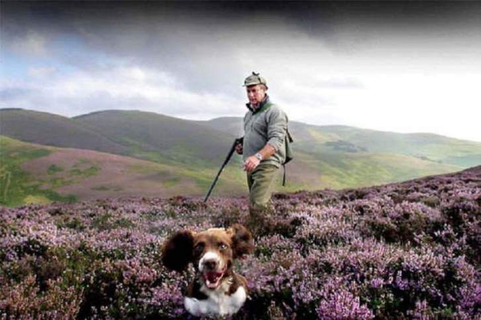 Zamora tramitó algo más de 450 licencias de caza durante el primer semestre del año