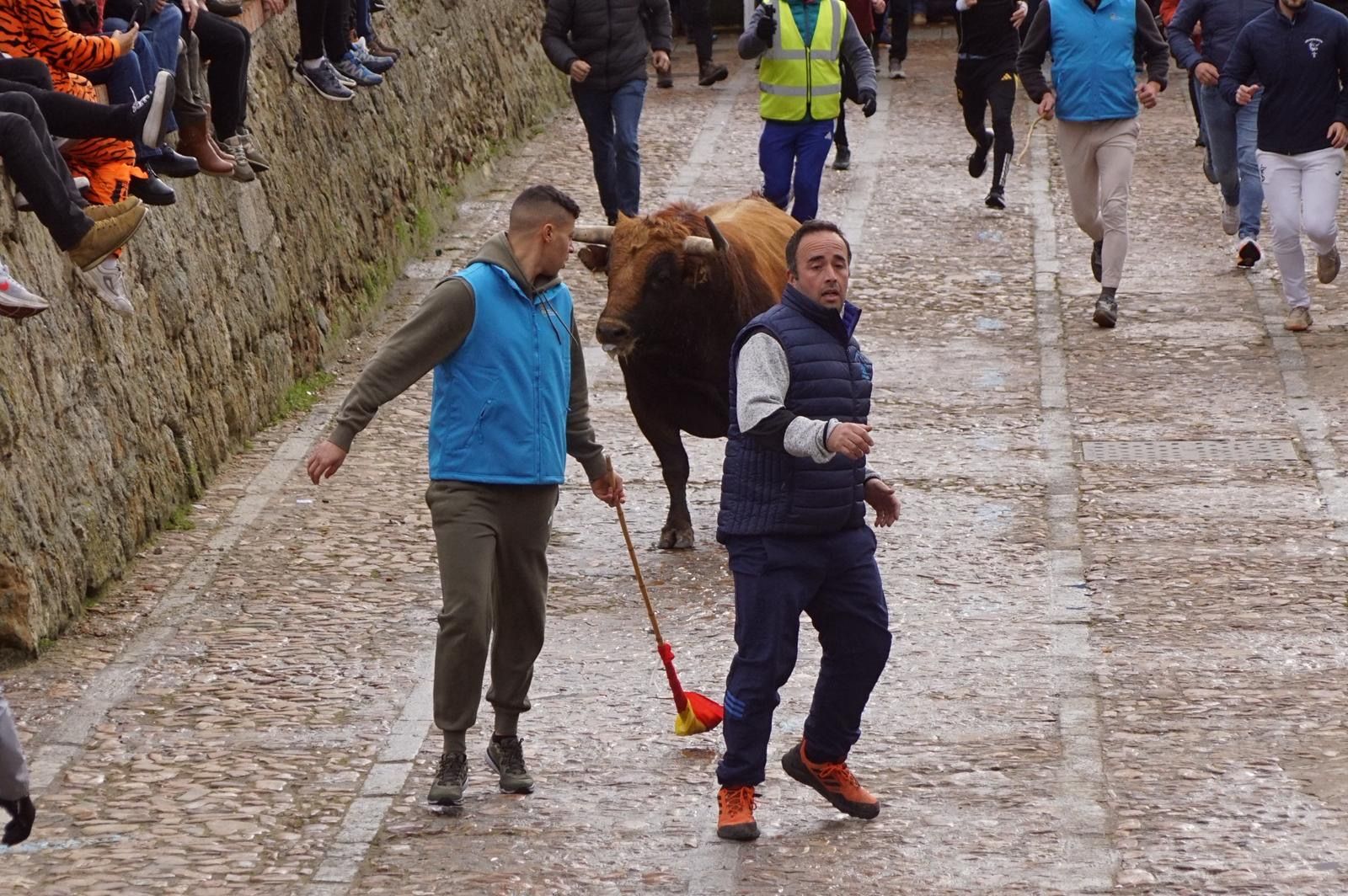 El encierro de Lunes de Carnaval en Ciudad Rodrigo en imágenes