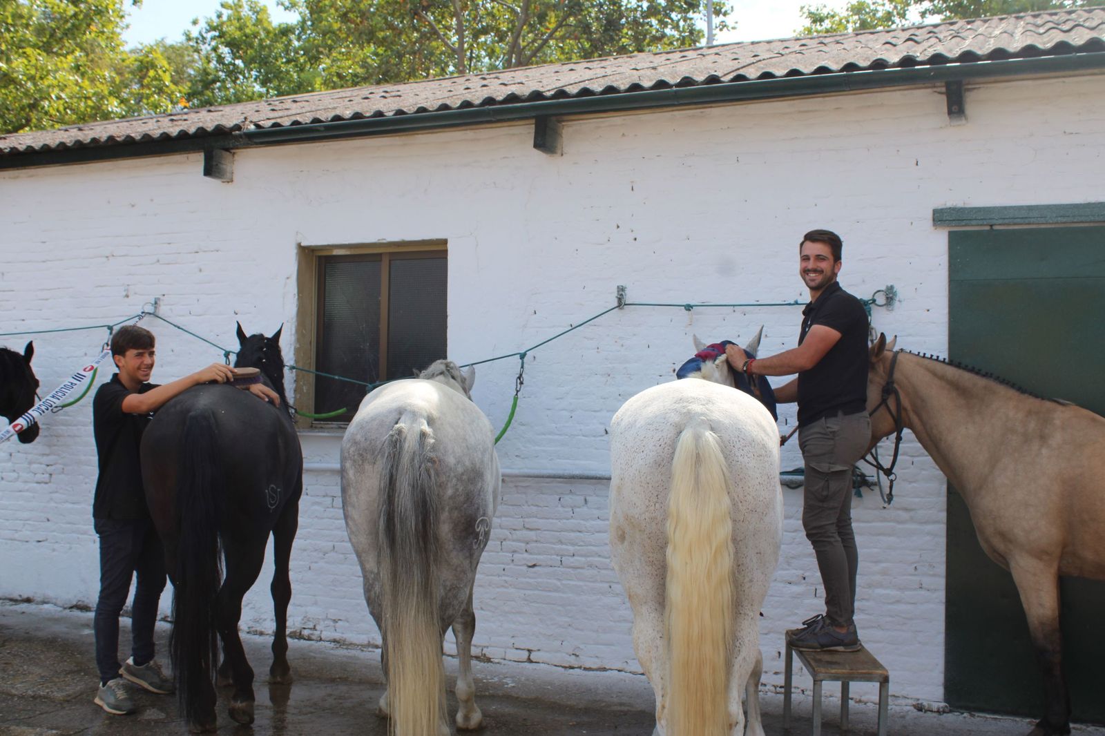 Sorteados los novillos de Montalvo para Raquel Martín y Olga Casado en el primer festejo de la feria en La Glorieta