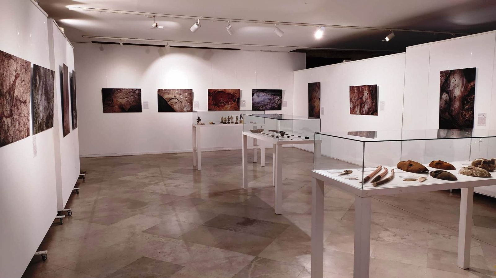 Fotos Expo. La Alhóndiga 1