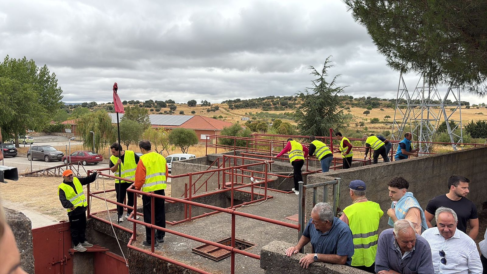 Encierro de novillos en Pereña