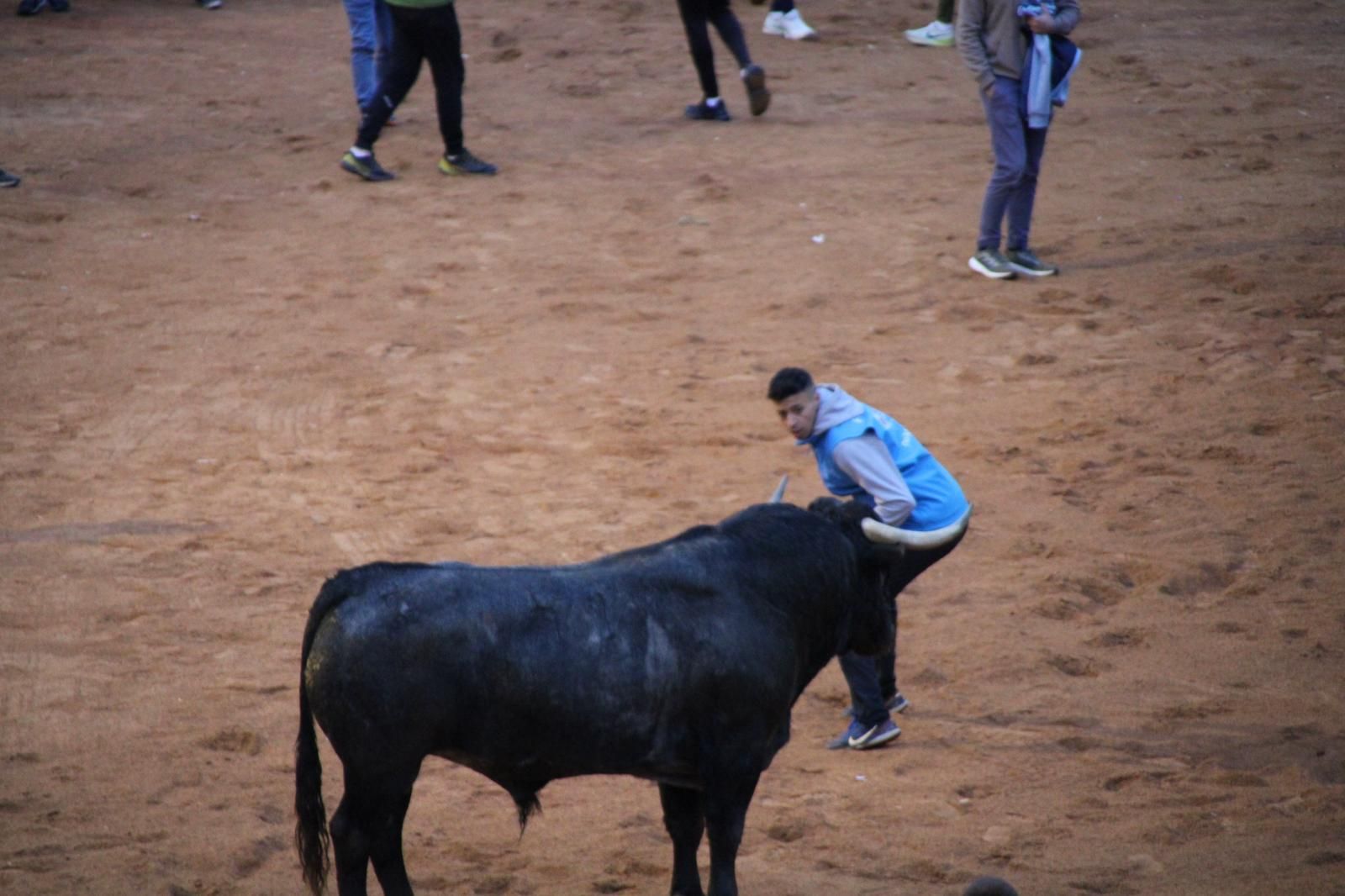 whatsapp-image-2025-03-02-at-19-32-42