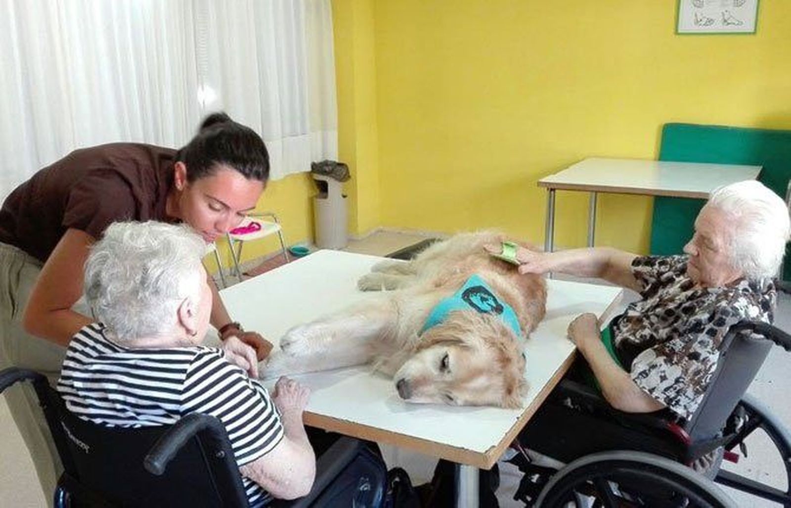 Terapia con perros en el Centro Residencial