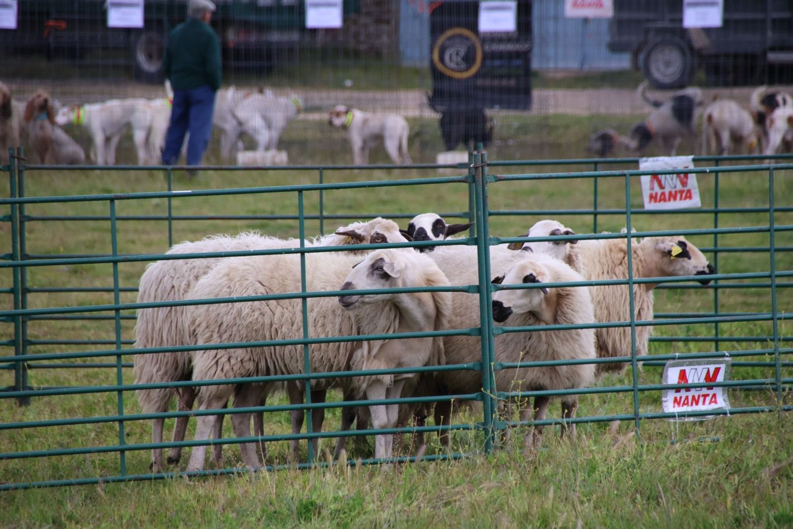 20240501102357-img-2877