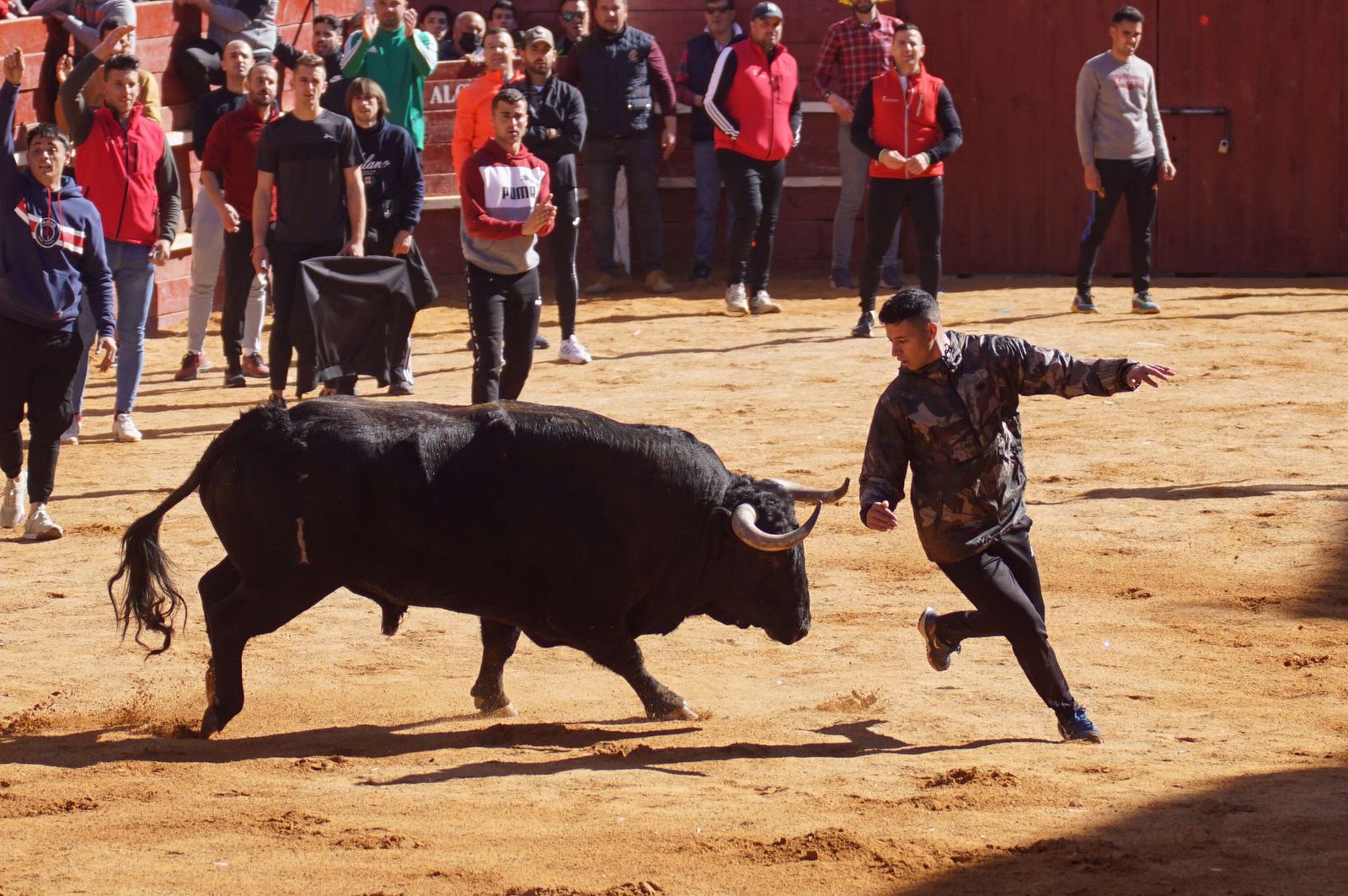Encierro, capea y ambiente en Ciudad Rodrigo en este lunes de carnaval (1)