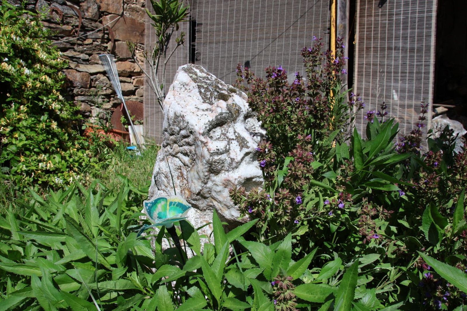 20230614095338-img-2718