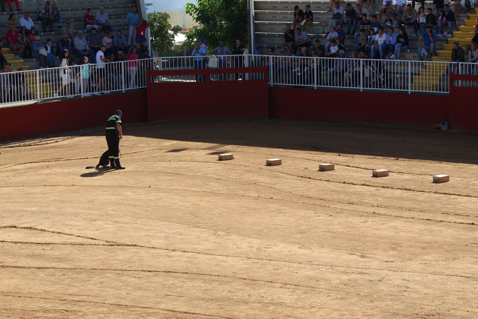 20230905123052-img-7974