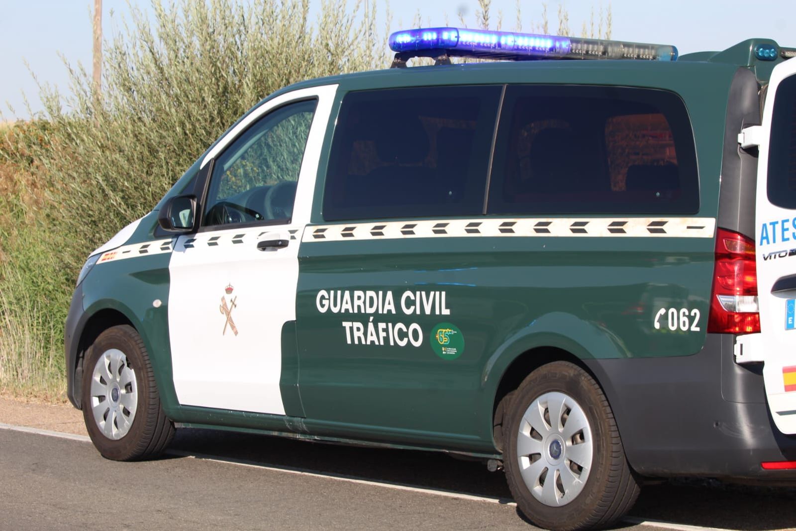 whatsapp-image-2024-08-27-at-18-35-17-1