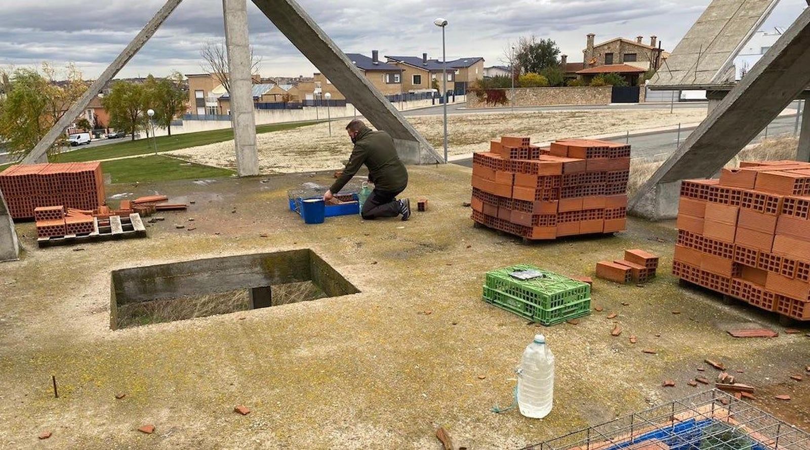 Trampas para capturar palomas en Carbajosa