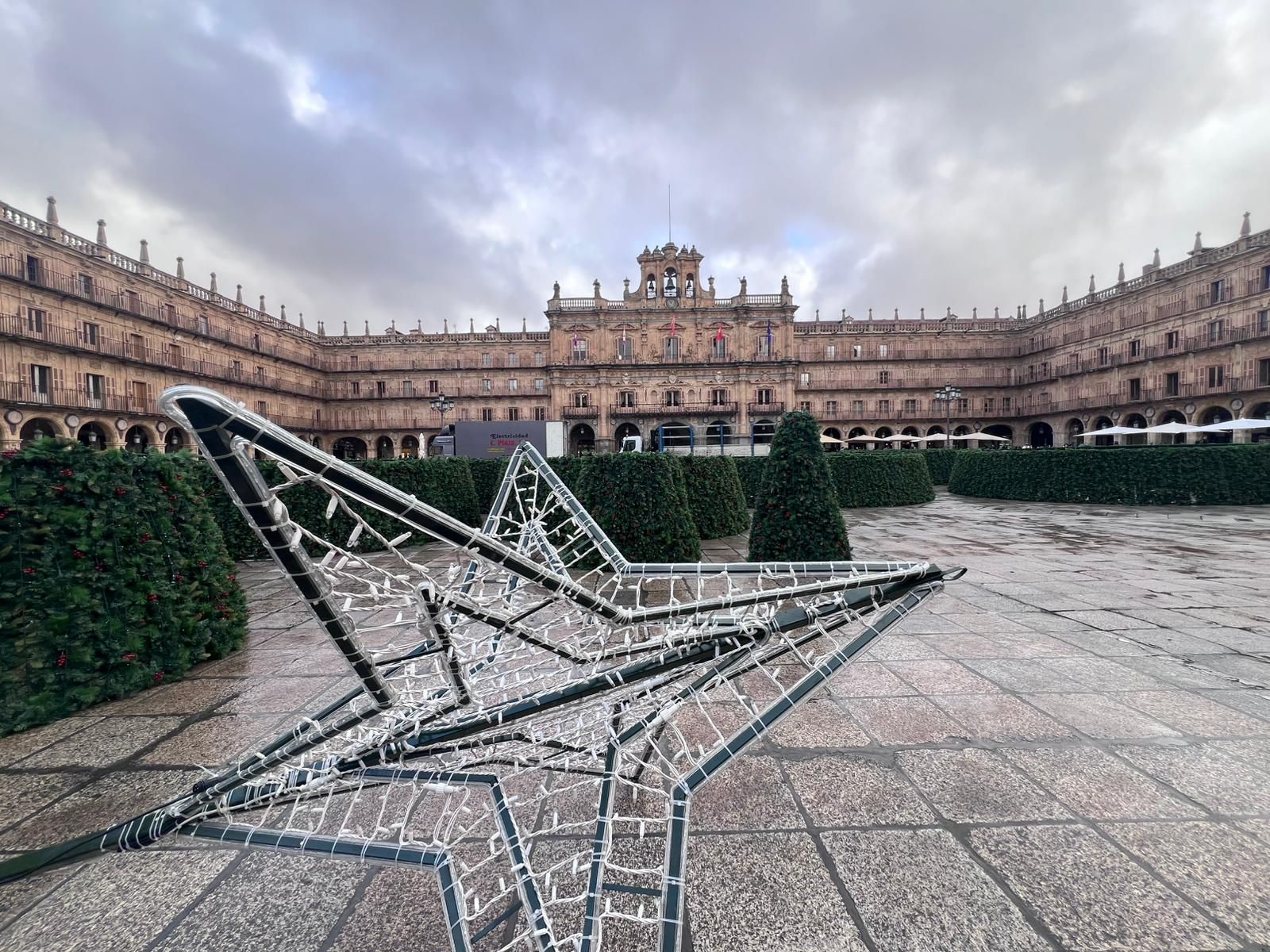 Montaje del árbol de 23 metros en la Plaza Mayor de Salamanca por Navidad