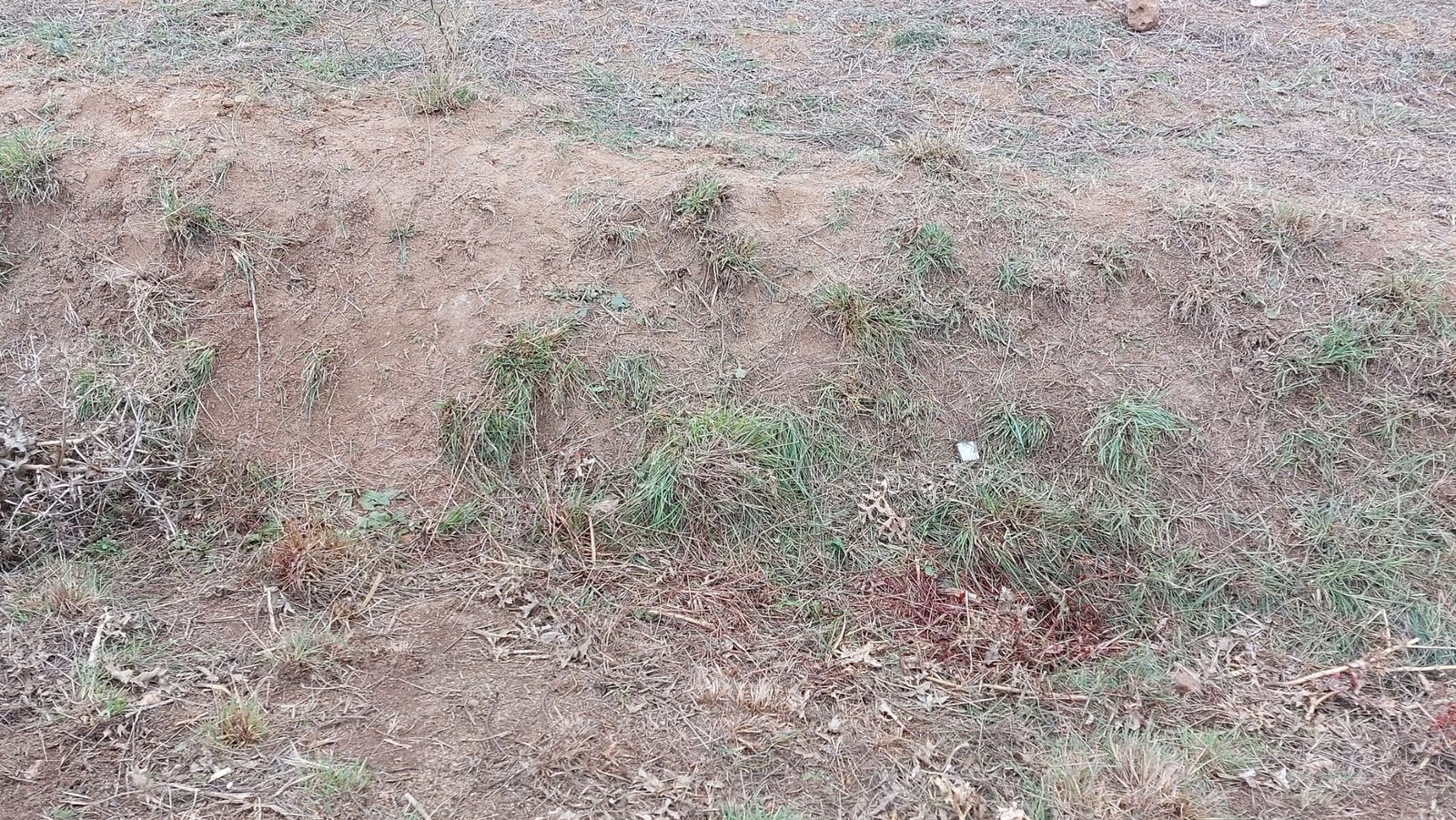 whatsapp-image-2023-10-24-at-13-28-46