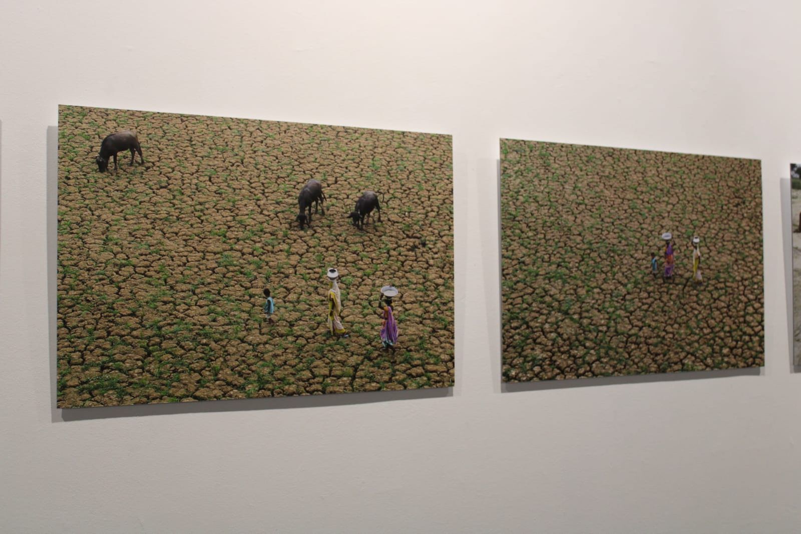 exposicion-transversalidades-fotografia-sin-fronteras-14