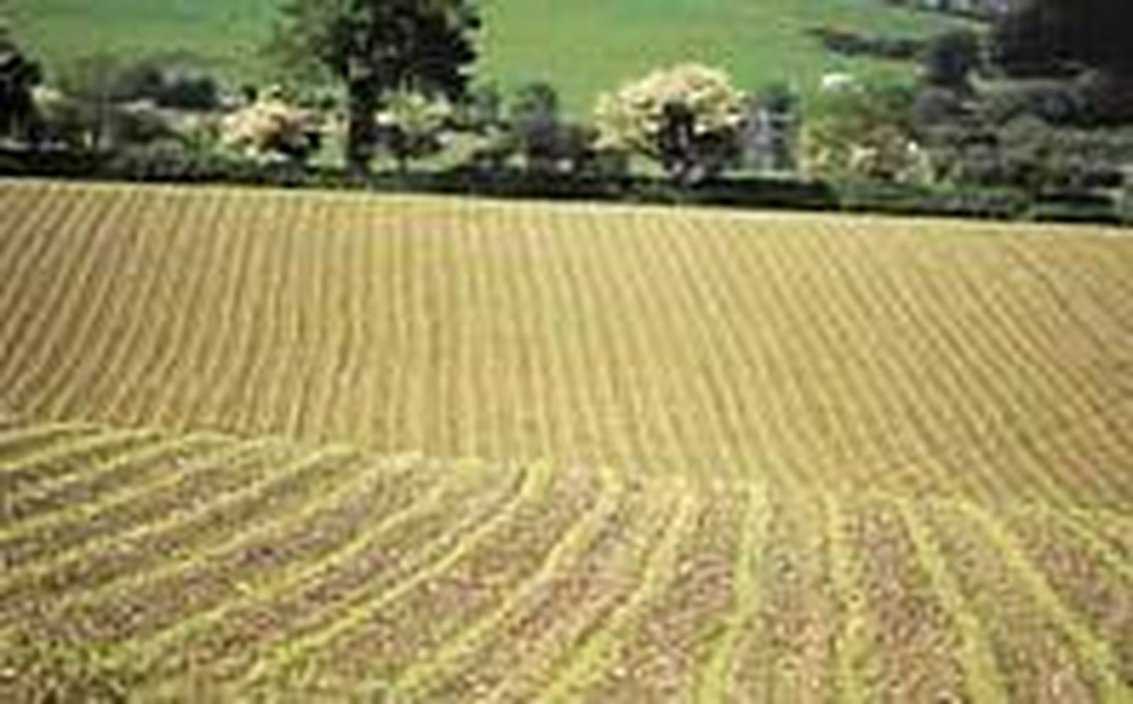 Los agricultores, preocupados por las propuestas de Bruselas sobre el uso de la tierra