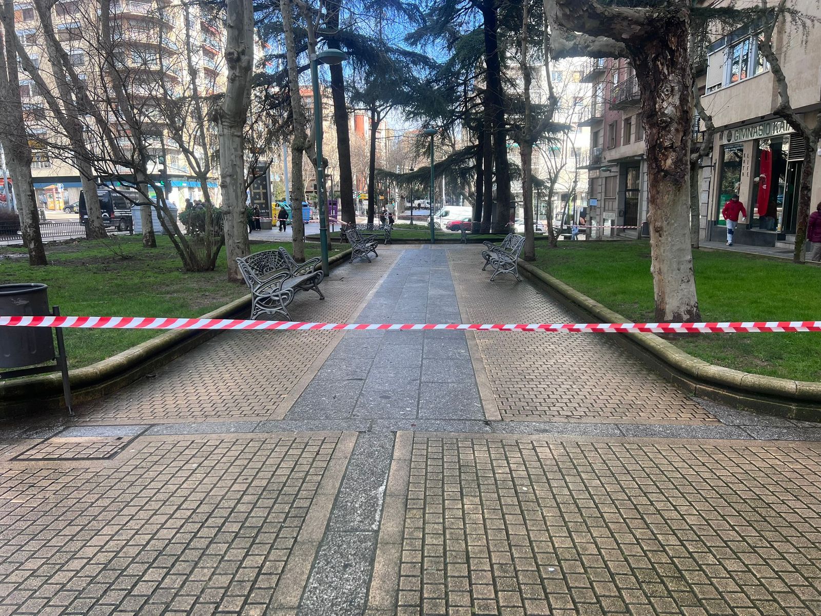 Zona arbolada del paseo de Carmelitas acotada por las fuertes rachas de viento. Foto de archivo