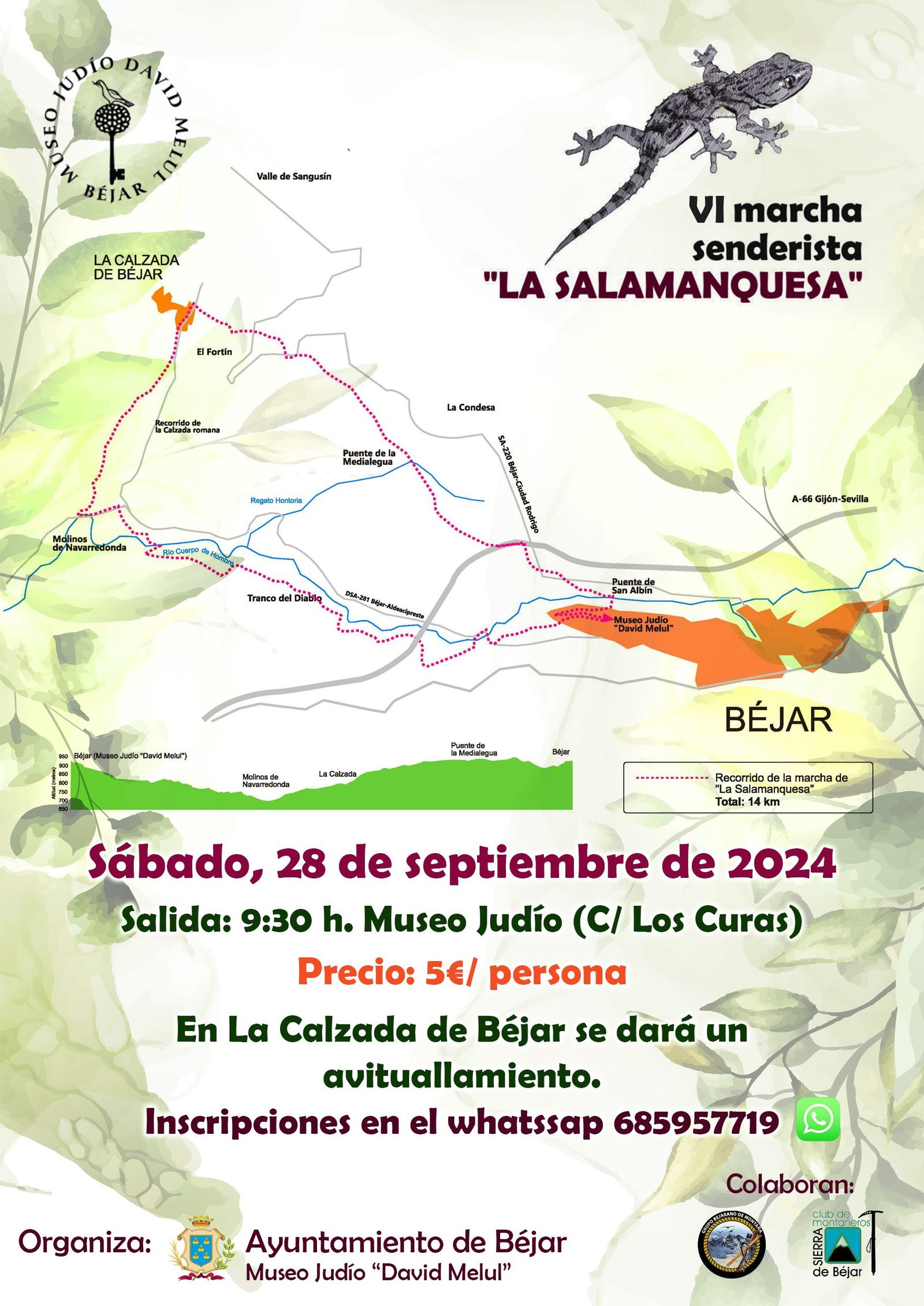 CARTEL RUTA LA SALAMANQUESA 2024 copia