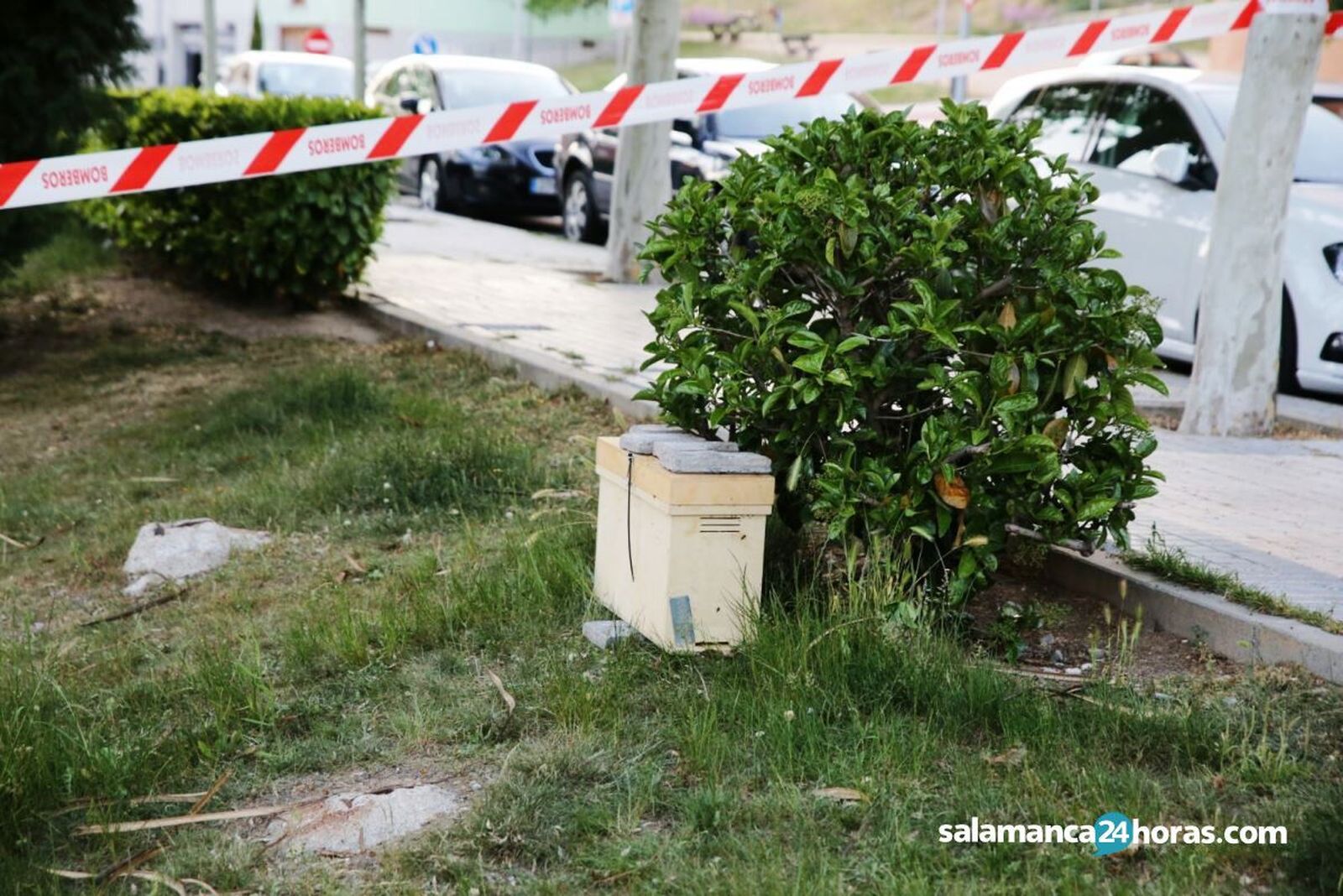 0b625f6b ef9e 4c70 bafc 99c0759a437a