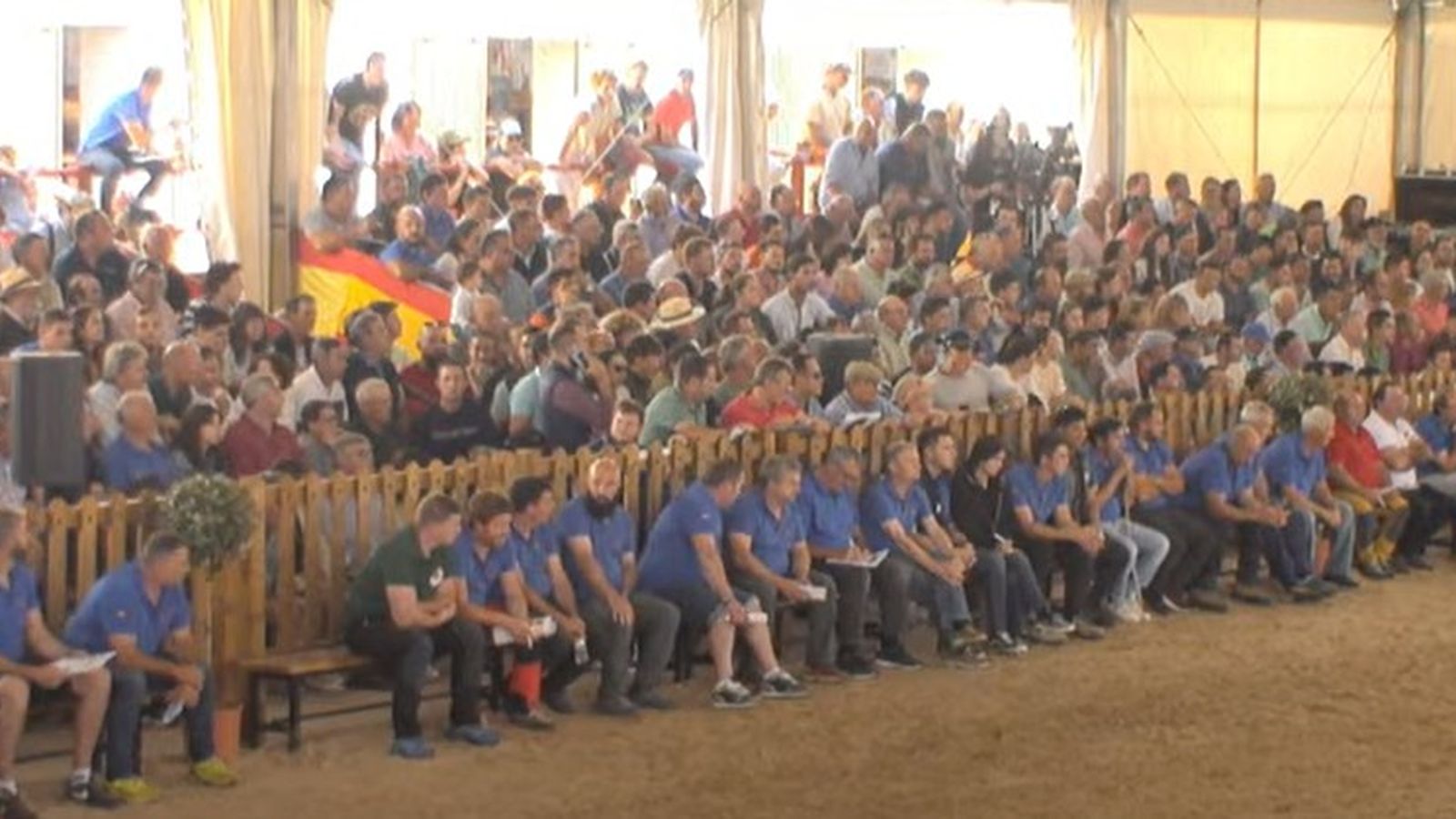 Subasta de Limusín en la feria agropecuaria 1