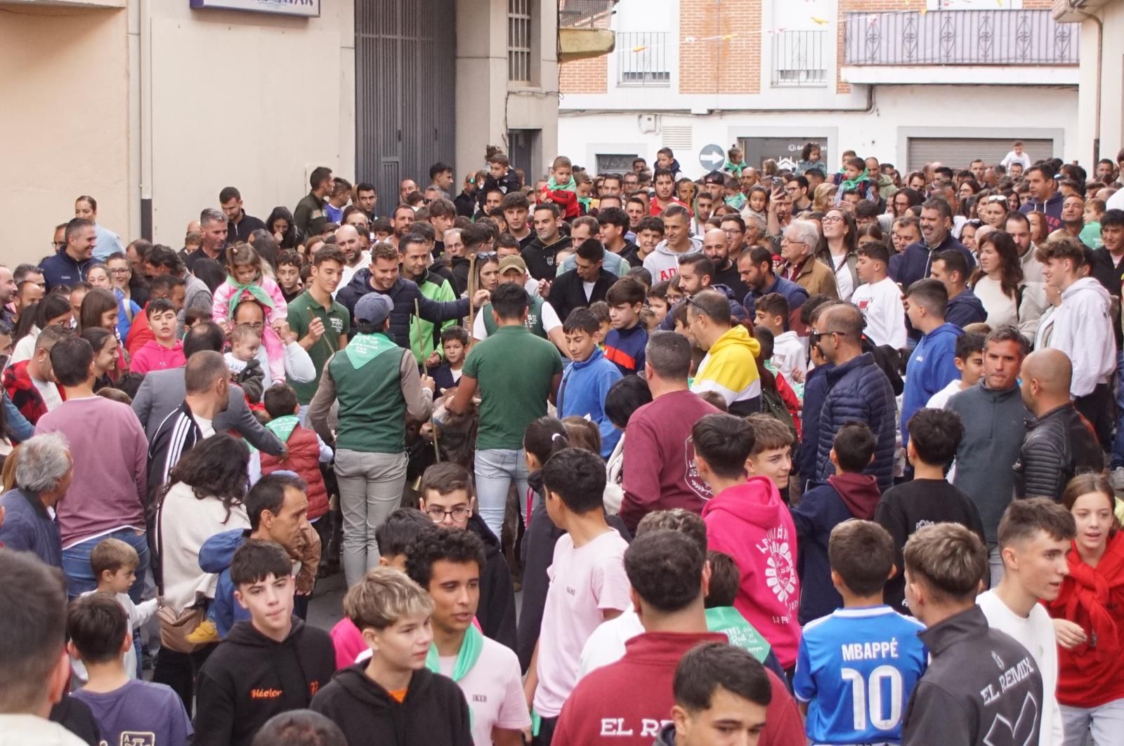 Alba de Tormes celebra un encierro, capea y encierro de minibueyes