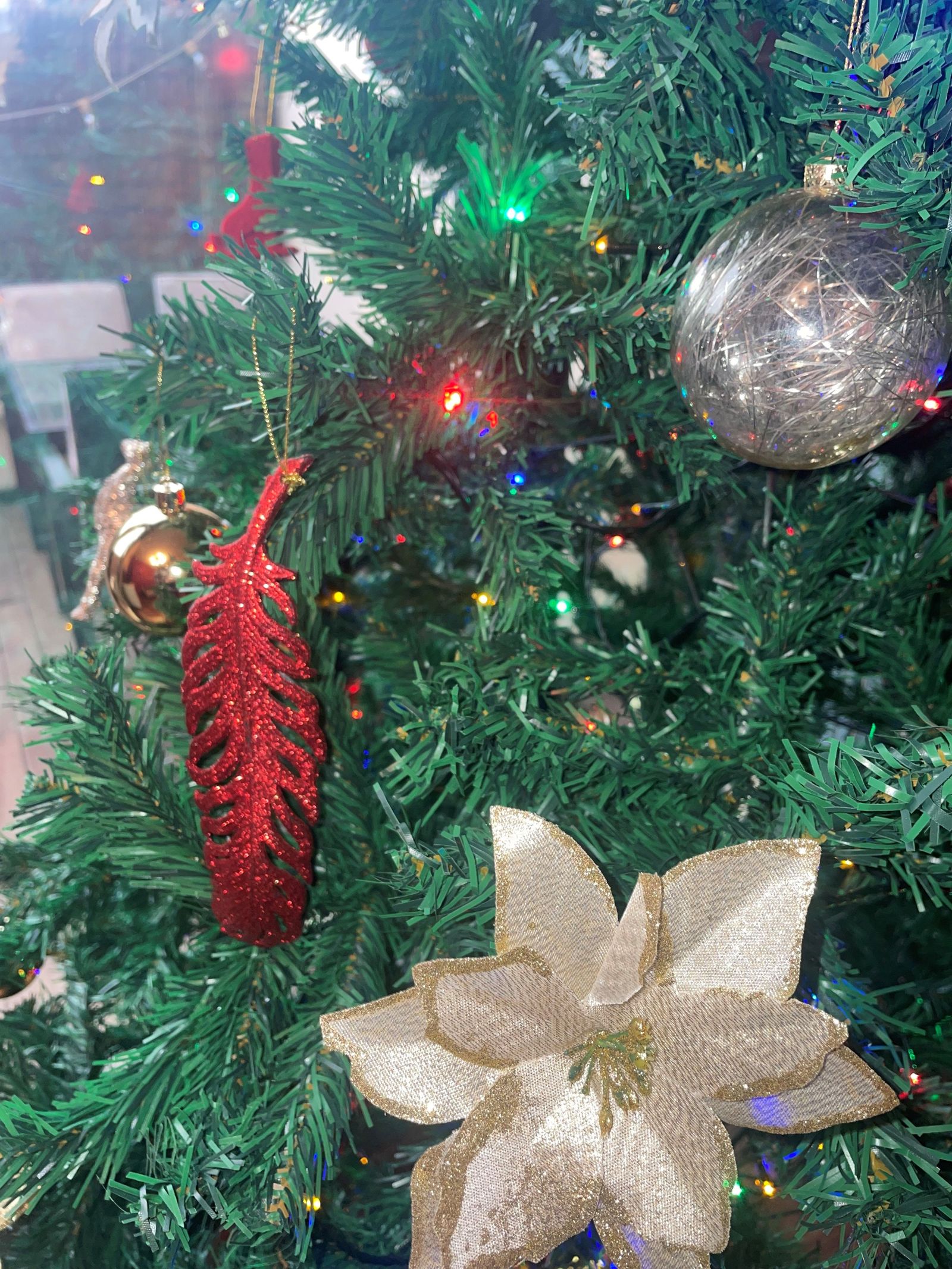 a-r-s-decoracion-navidena-en-una-vivienda-de-la-calle-prolongacion-calle-el-tejar-en-doninos-1