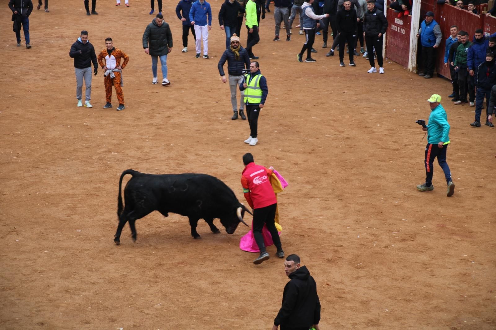 Encierro a Caballo en el Carnaval del Toro 2026 de Ciudad Rodrigo