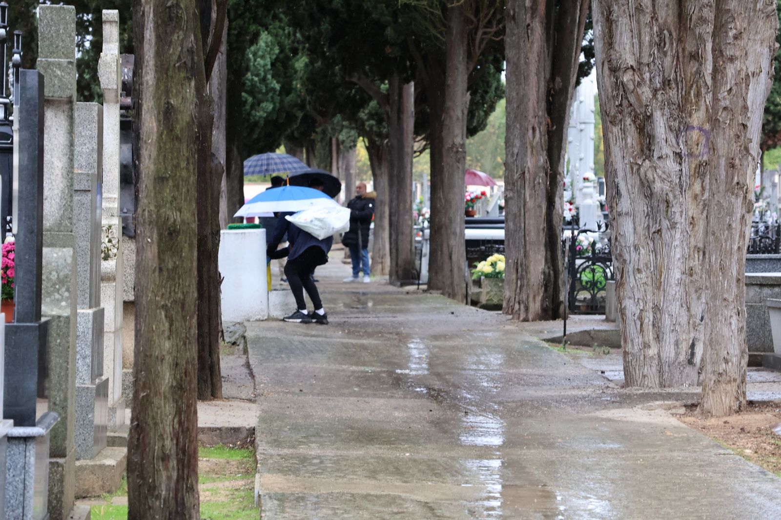 GALERÍA | La lluvia no detiene la tradición: los zamoranos acuden al cementerio para recordar a sus fallecidos