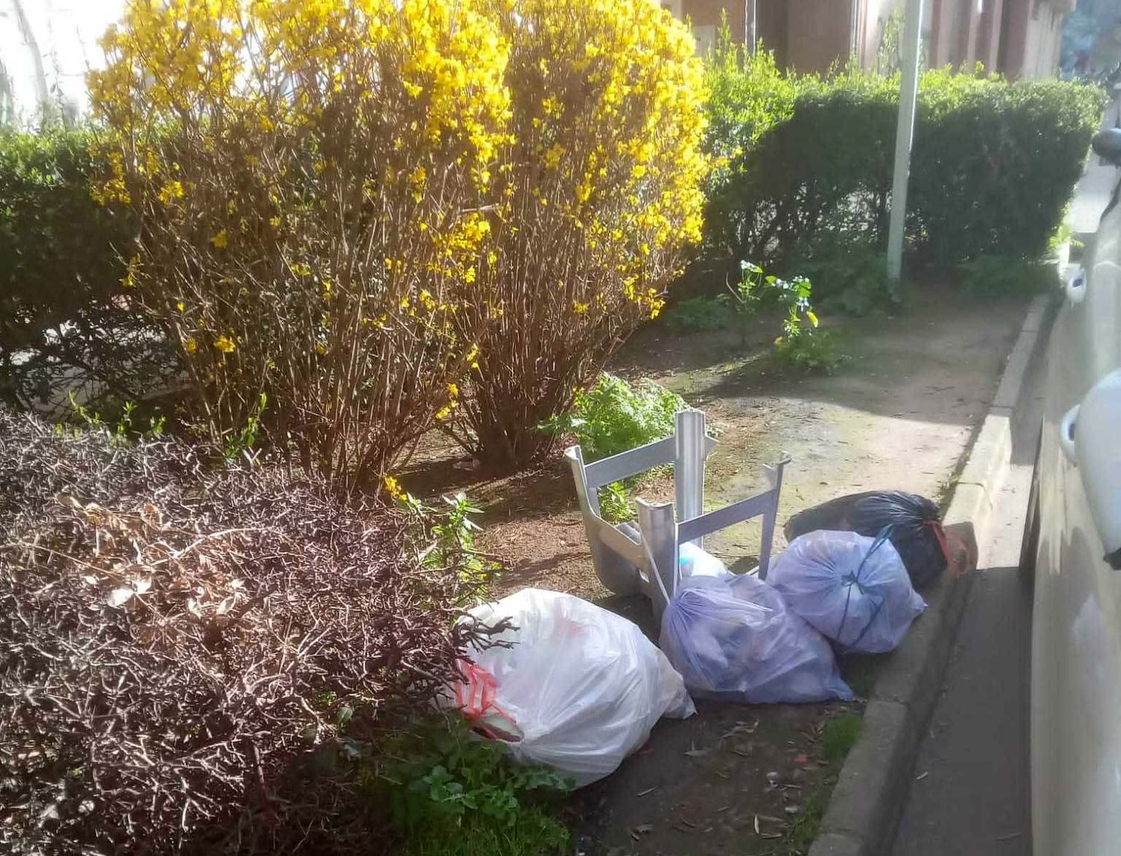 Basura en Puerta Nueva