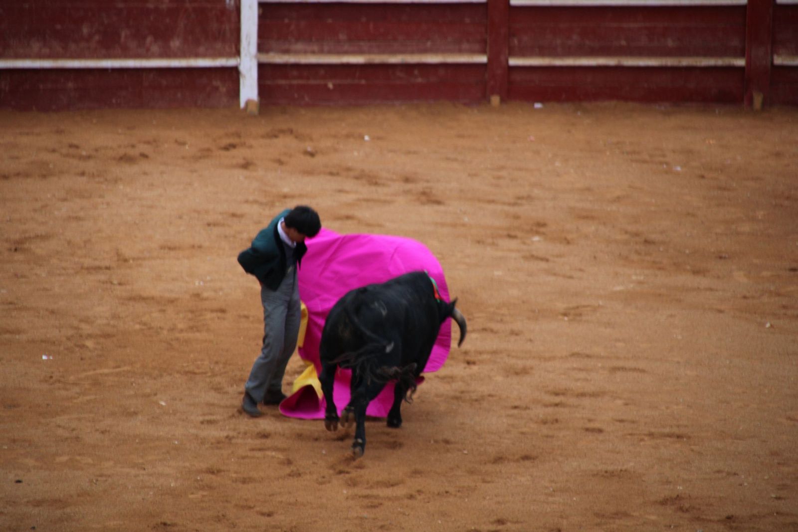 whatsapp-image-2025-03-02-at-18-54-08-1