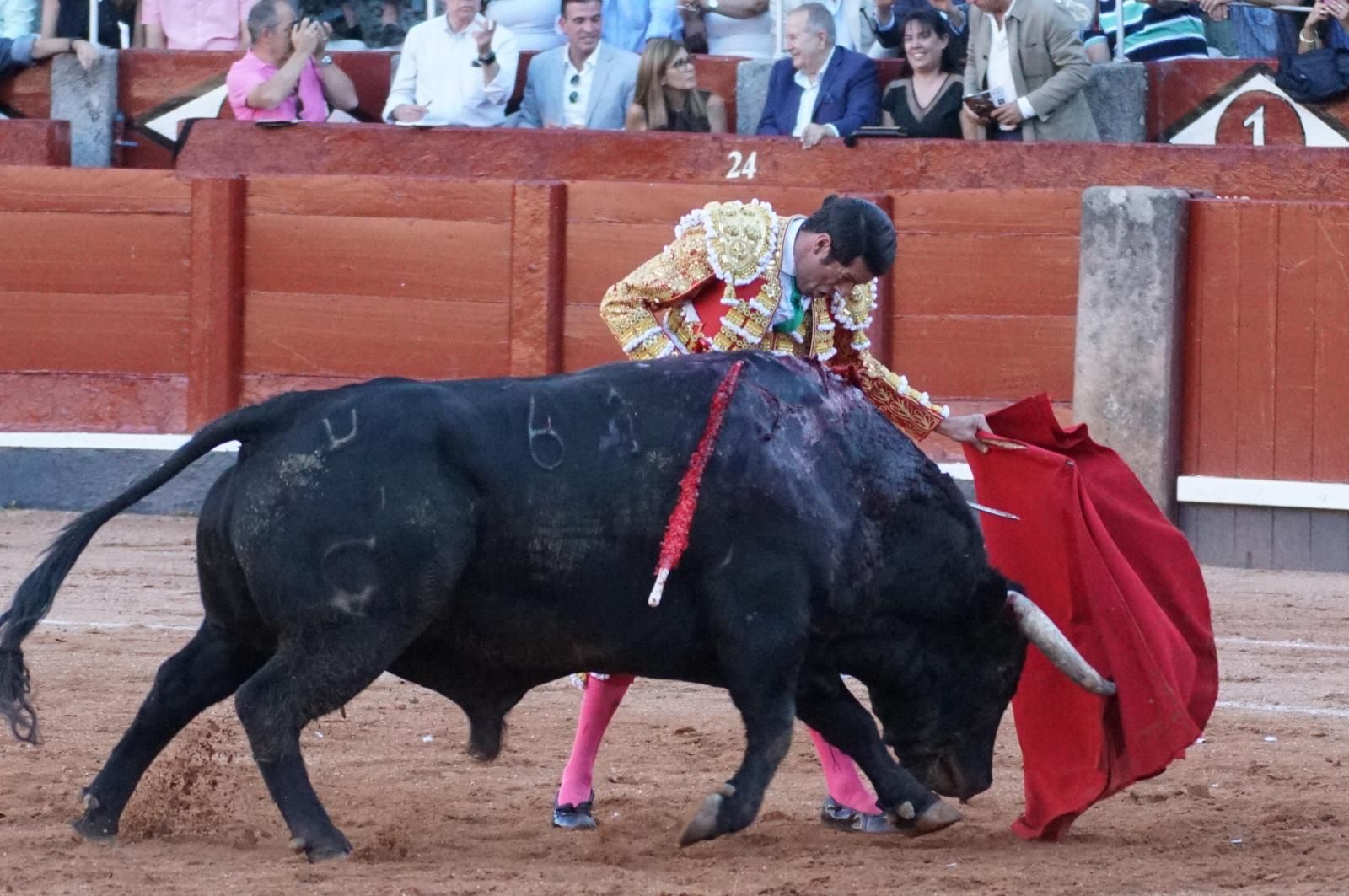 Emilio de Justo, Juan Ortega y Roca Rey inauguran el cartel de figuras en la feria de Salamanca: la corrida de Garcigrande en imágenes