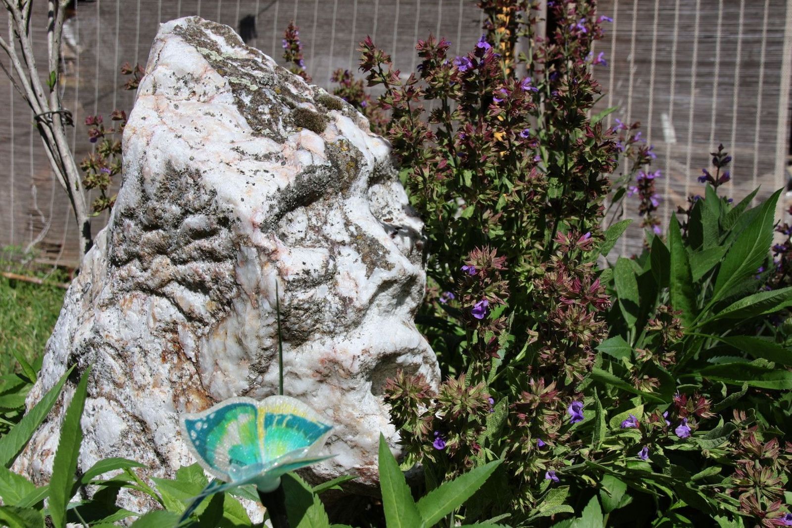 20230614095335-img-2717