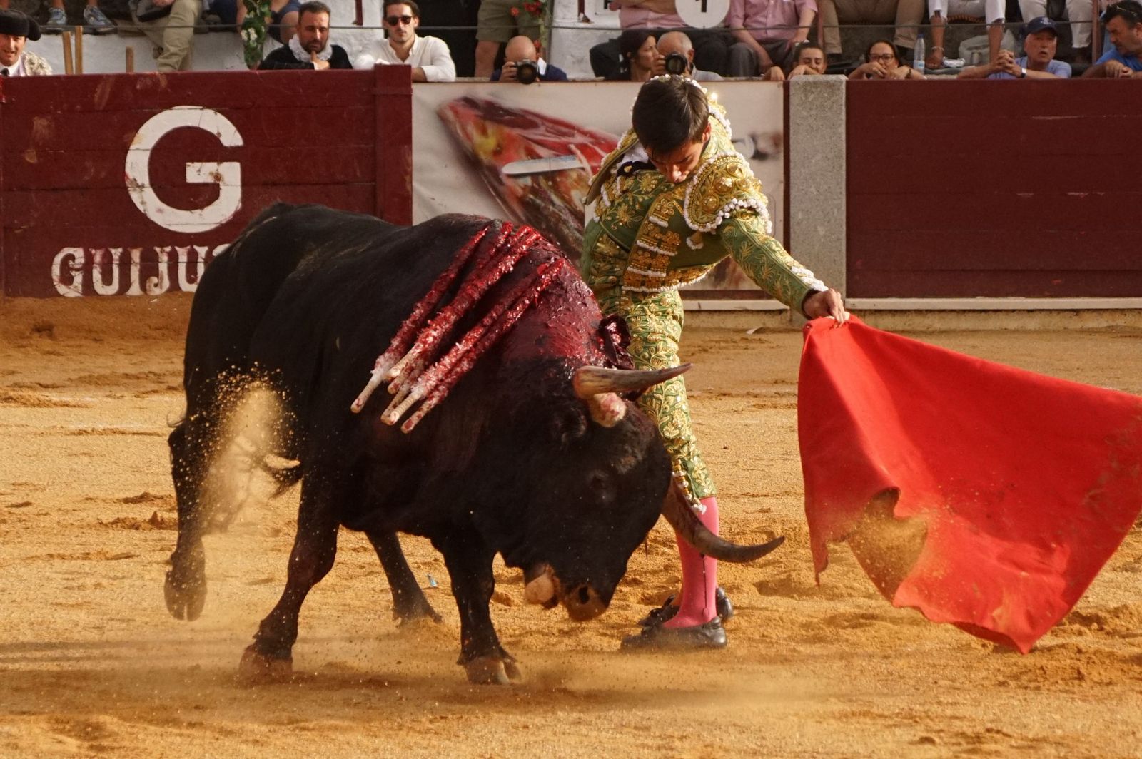 Javier Castaño se despide de Guijuelo y Damián Castaño, su hermano, e Ismael Martín salen a hombros en Guijuelo