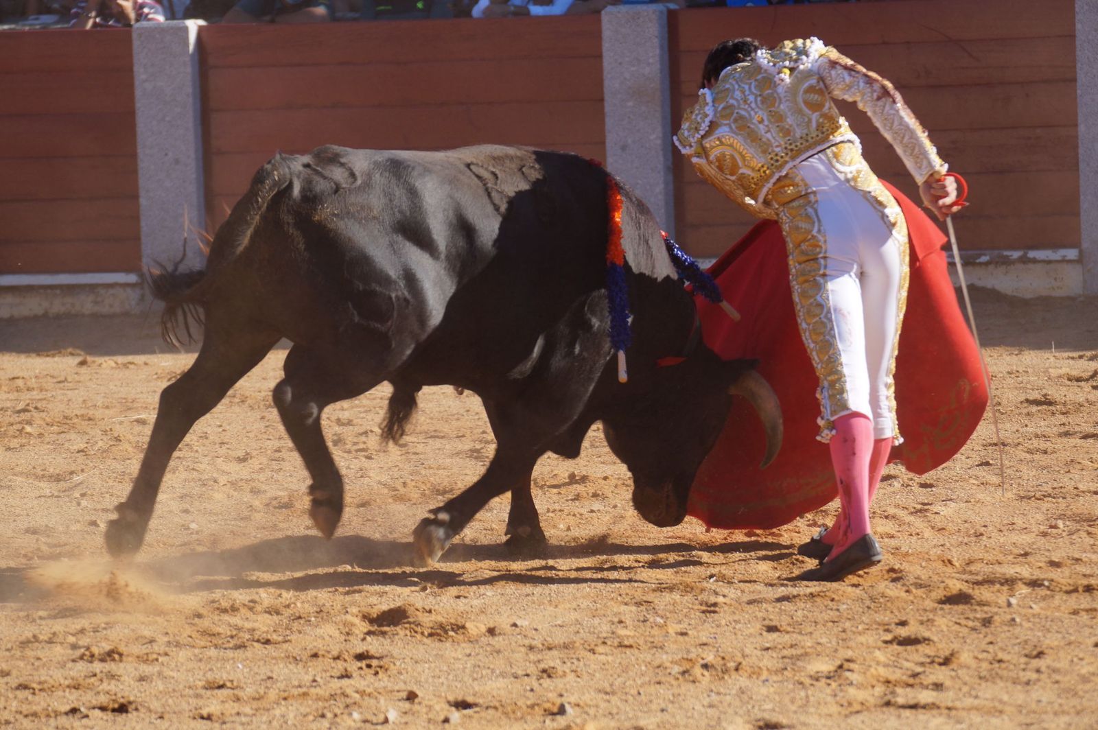 corrida-de-toros-en-guijuelo-19