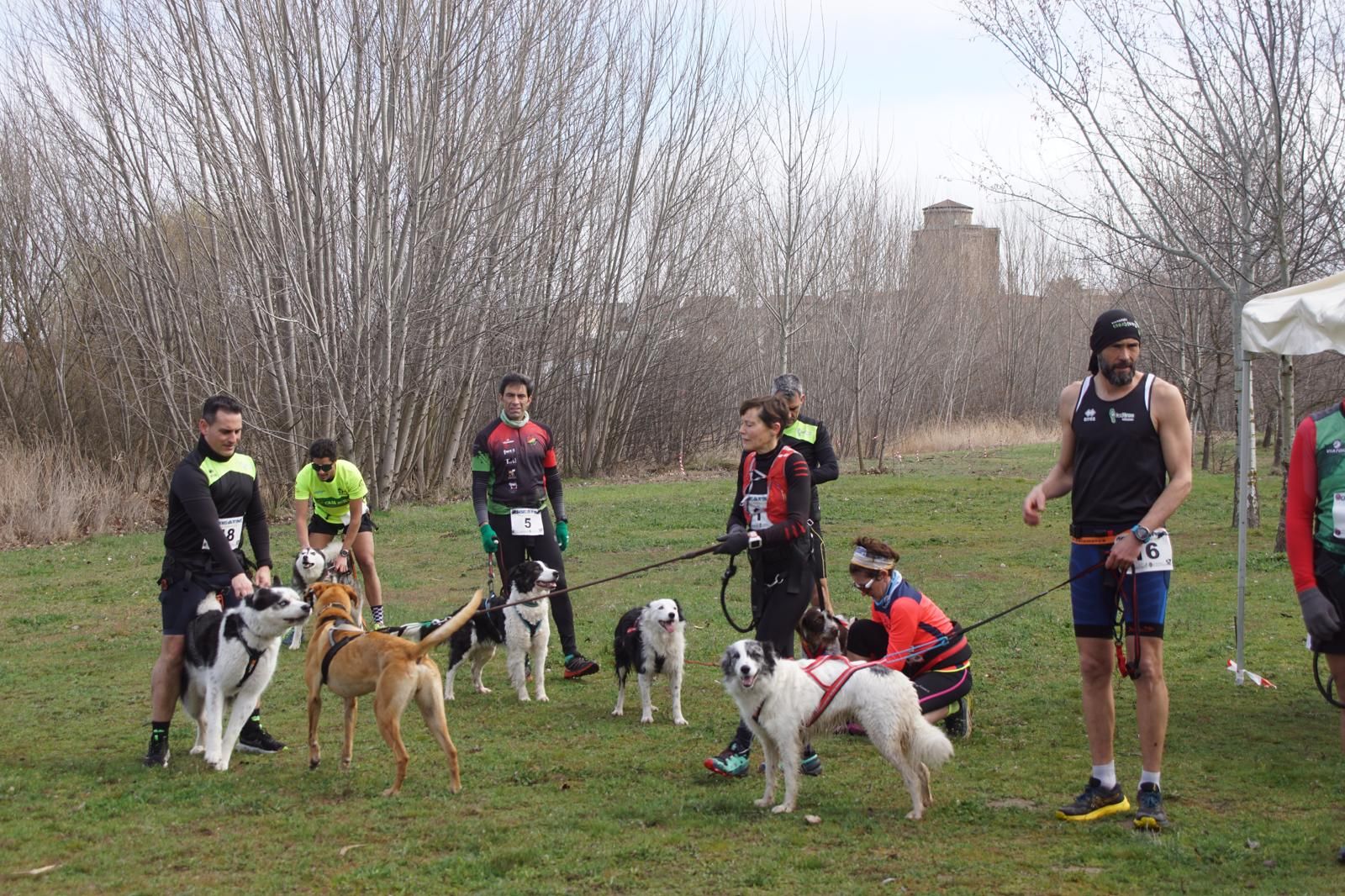 iv-canicross-alba-de-tormes-27