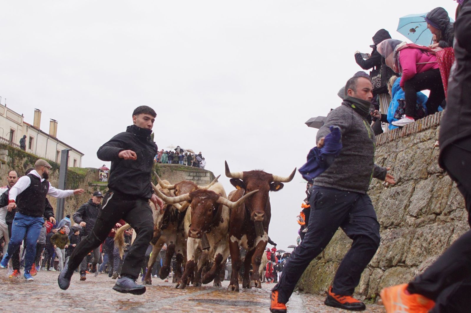 whatsapp-image-2025-03-03-at-14-51-25