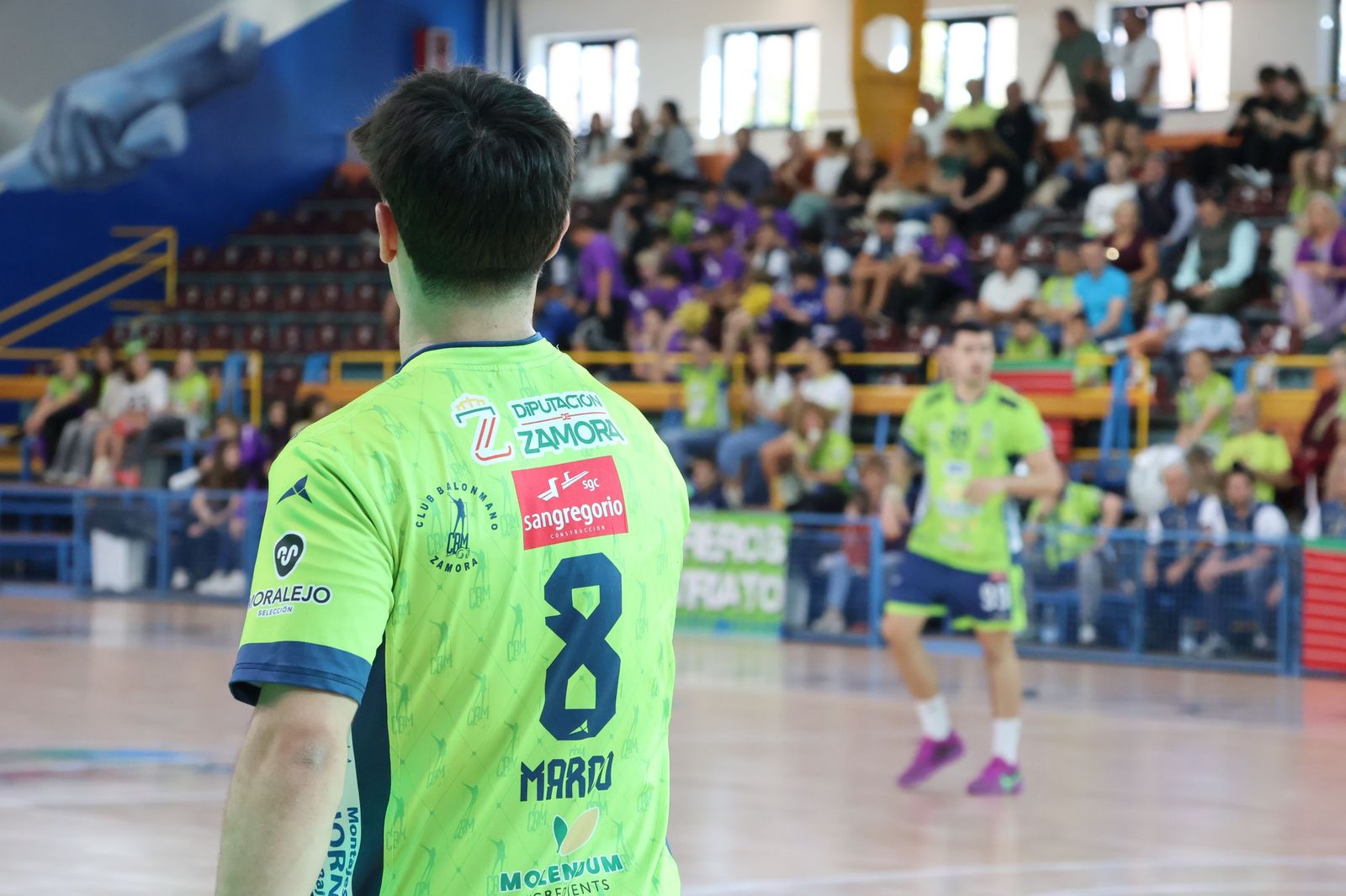 Balonmano Zamora-Real Covadonga