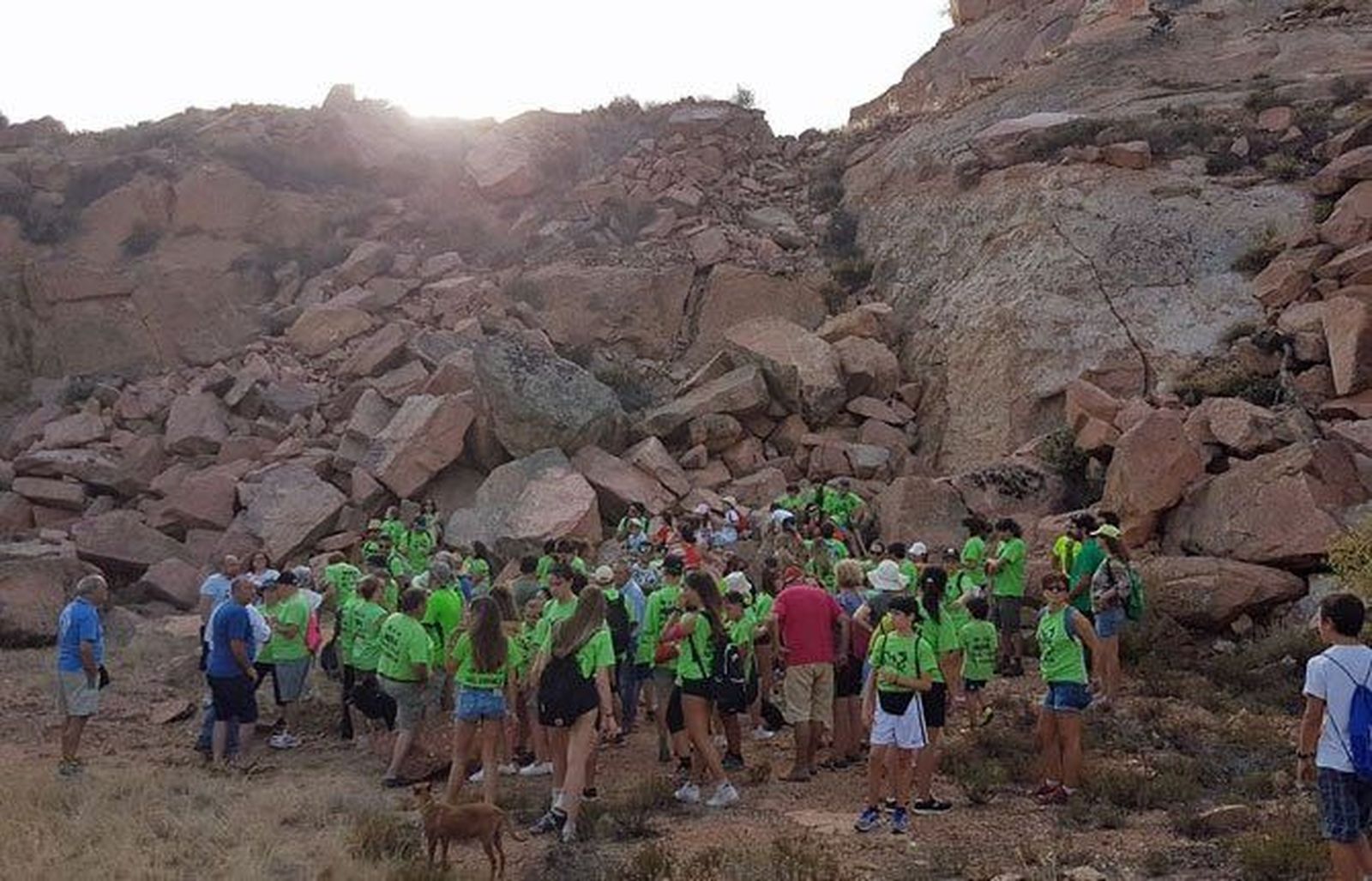 Las plataformas anti-minas dicen que la Estrategia Minera de la Junta quiere “esquilmar” Ávila