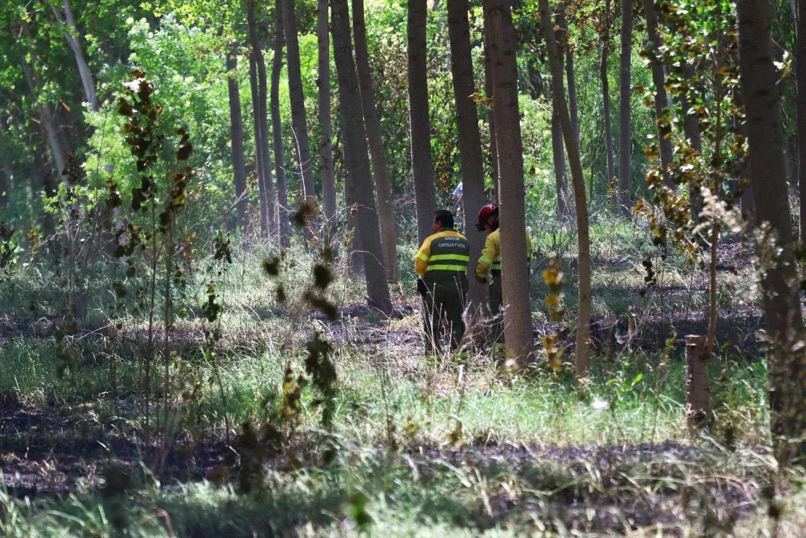 Incendio en Valverdón