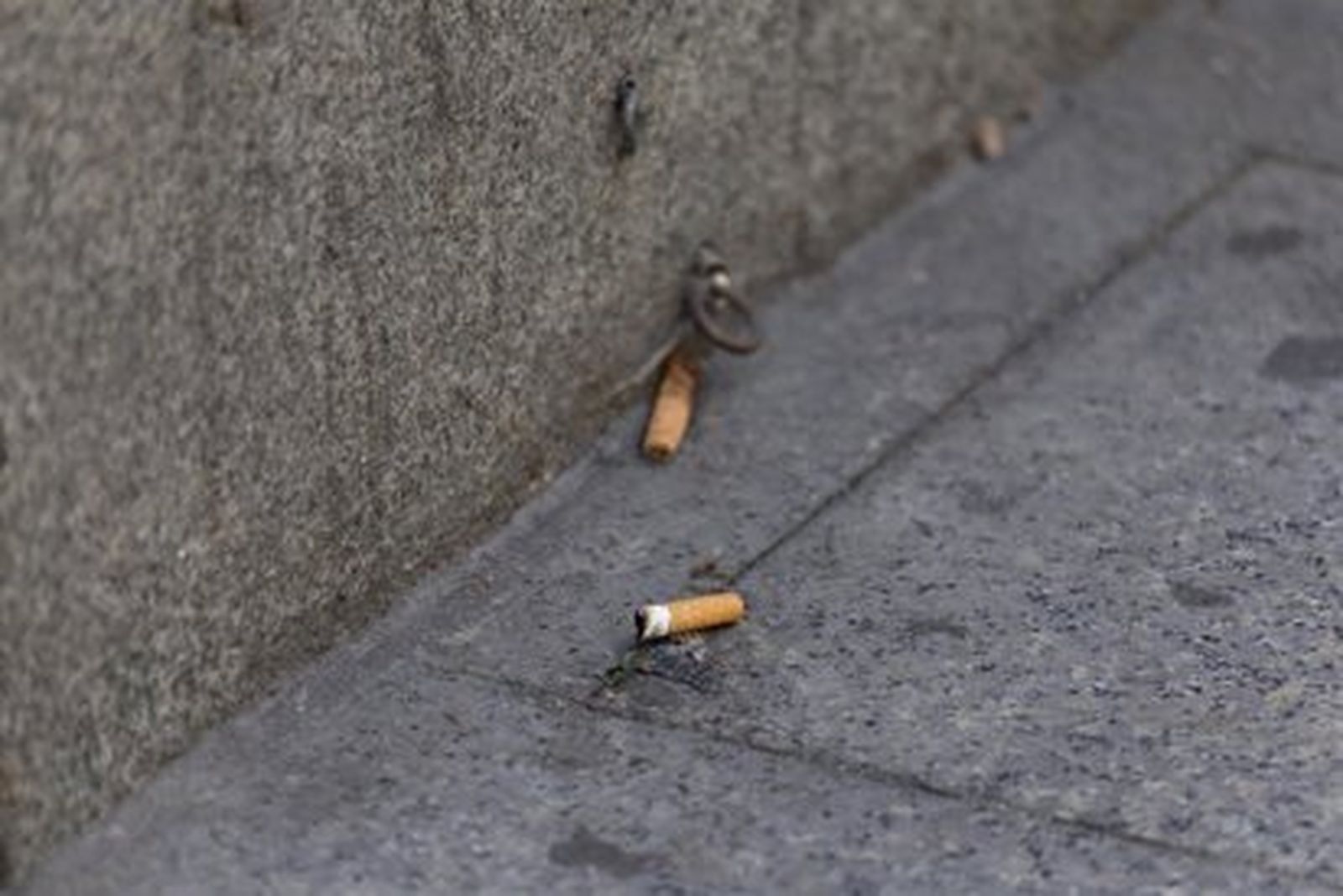 Colillas en el suelo