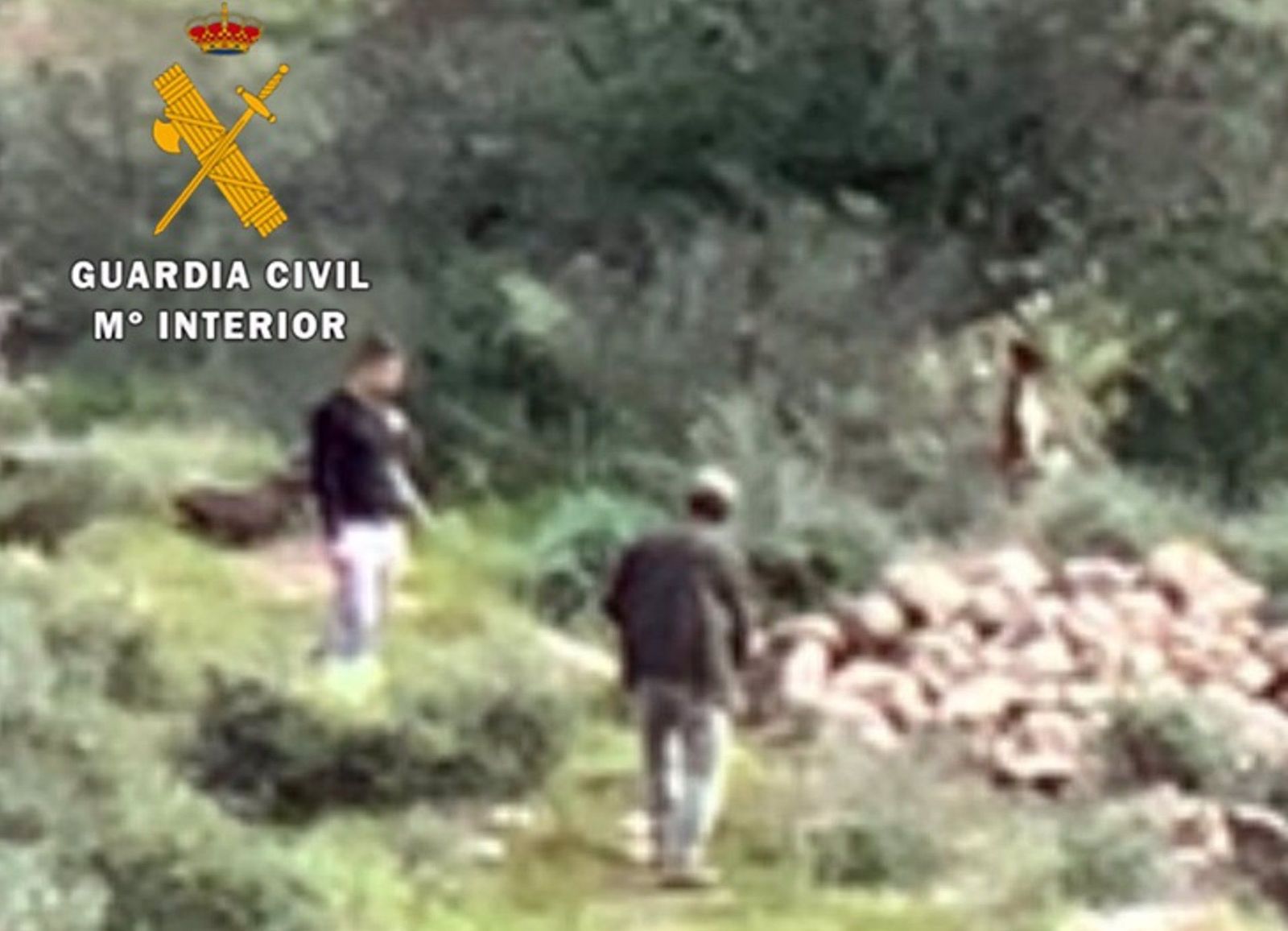 Detenidos por el ahorcamiento de un perro