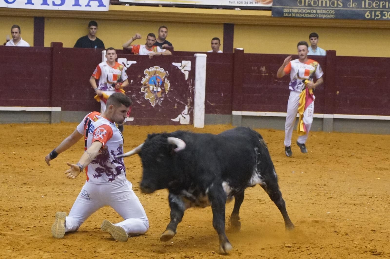Alba de Tormes celebra un nuevo concurso de cortes