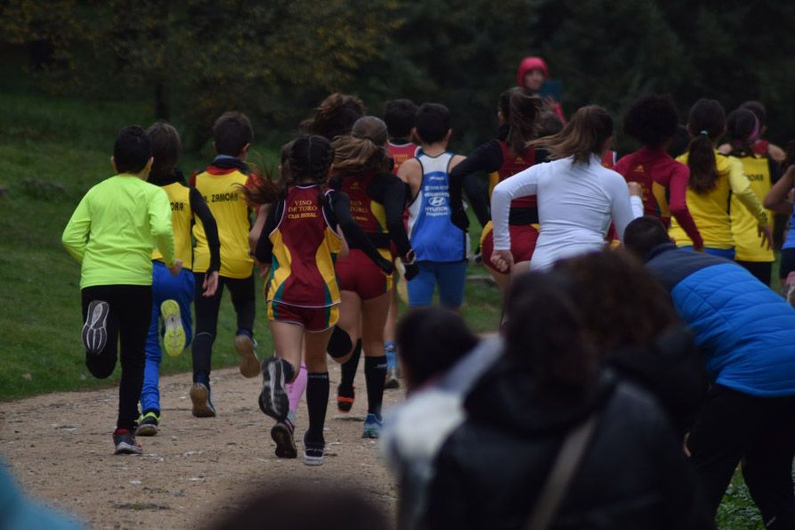 cross-de-otono-en-el-bosque-de-valorio-44