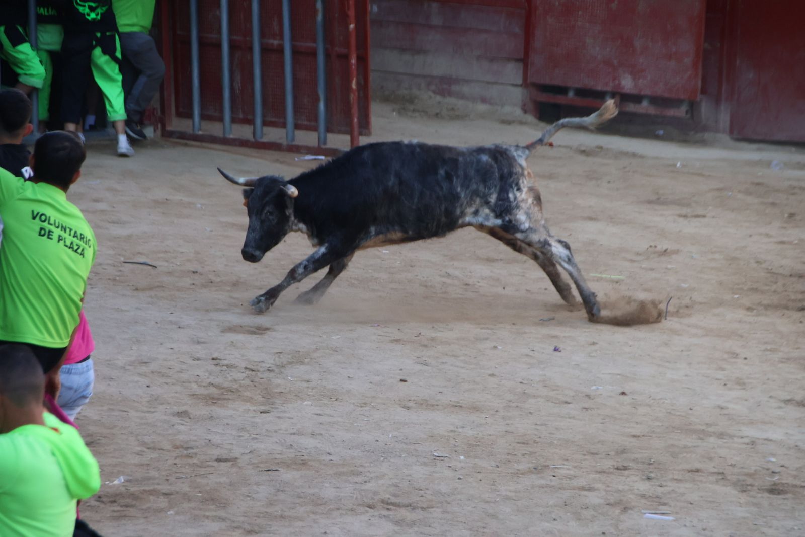 Encierro en Aldeadávila