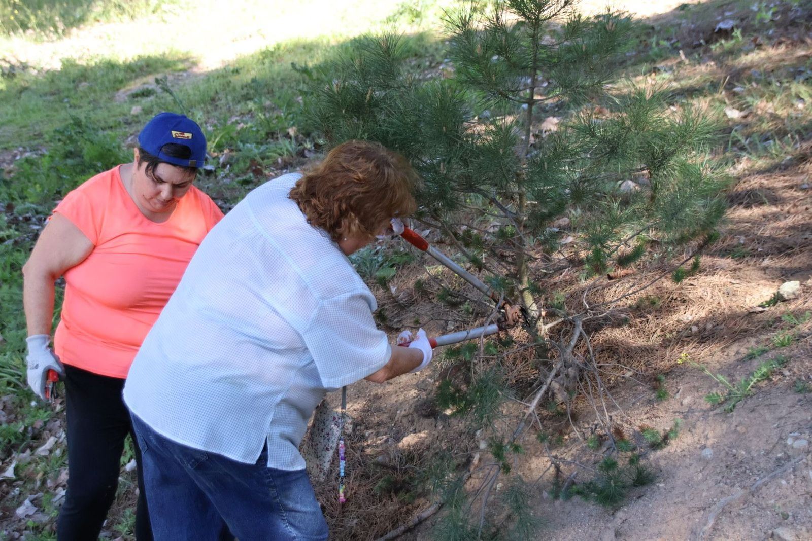 20240413104014-img-8052