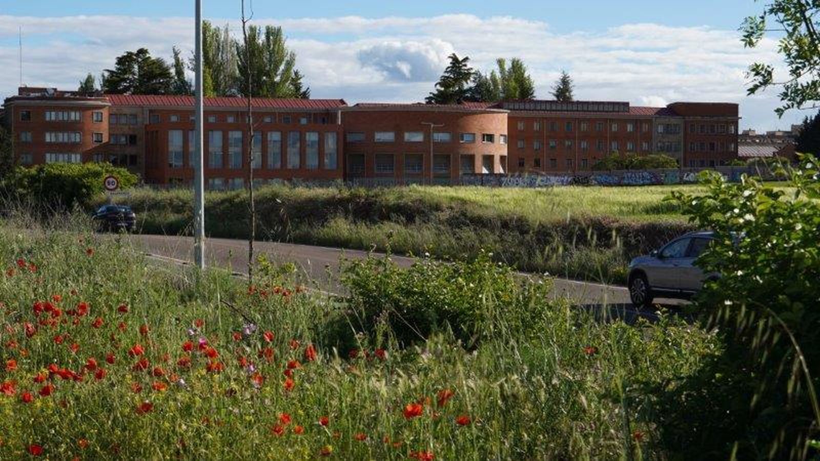 Zonas de campo situadas entre Salamanca y Villares de la Reina denunciadas por asociaciones ecologistas