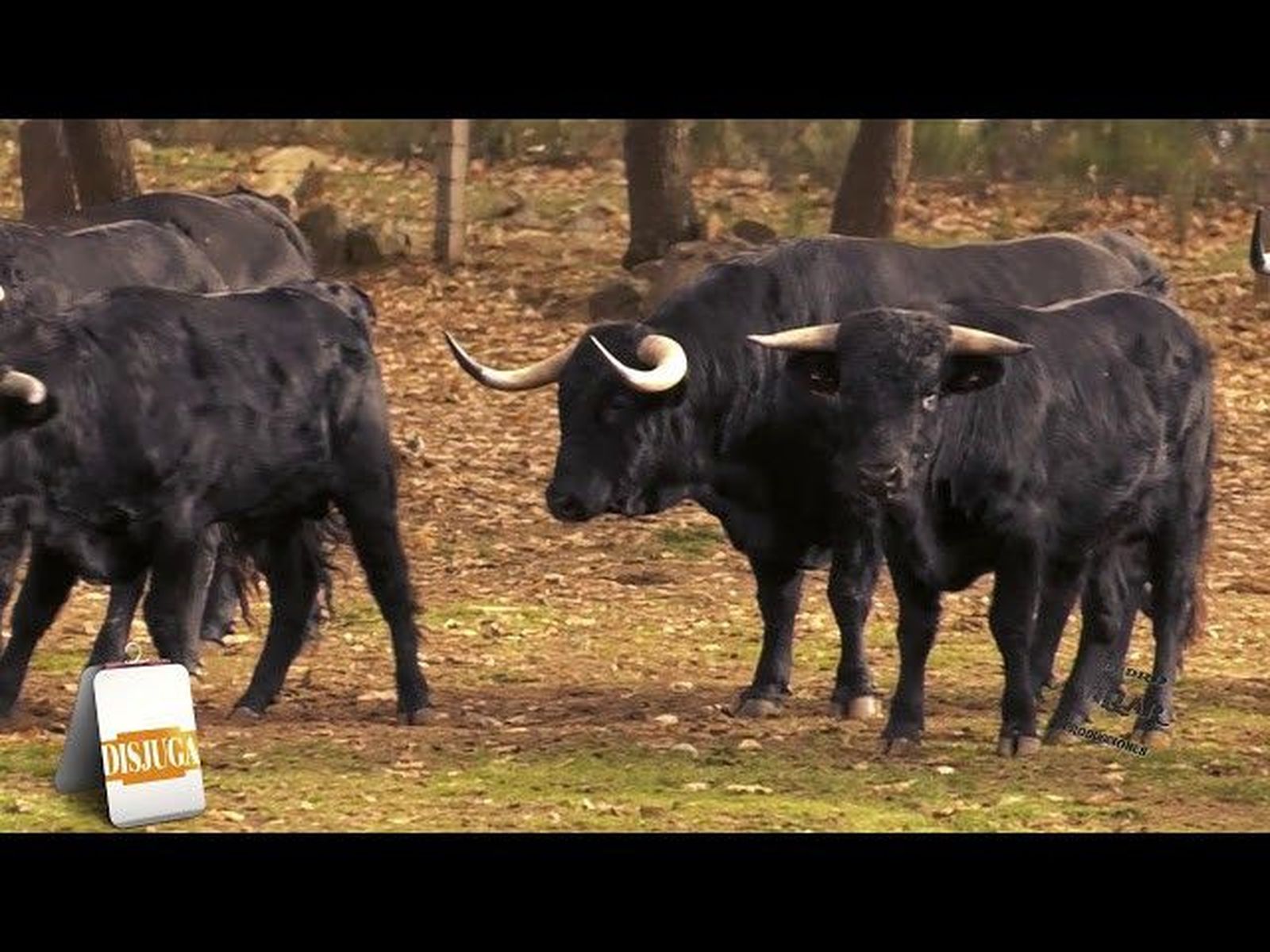 Ganadería Adelaida Rodríguez